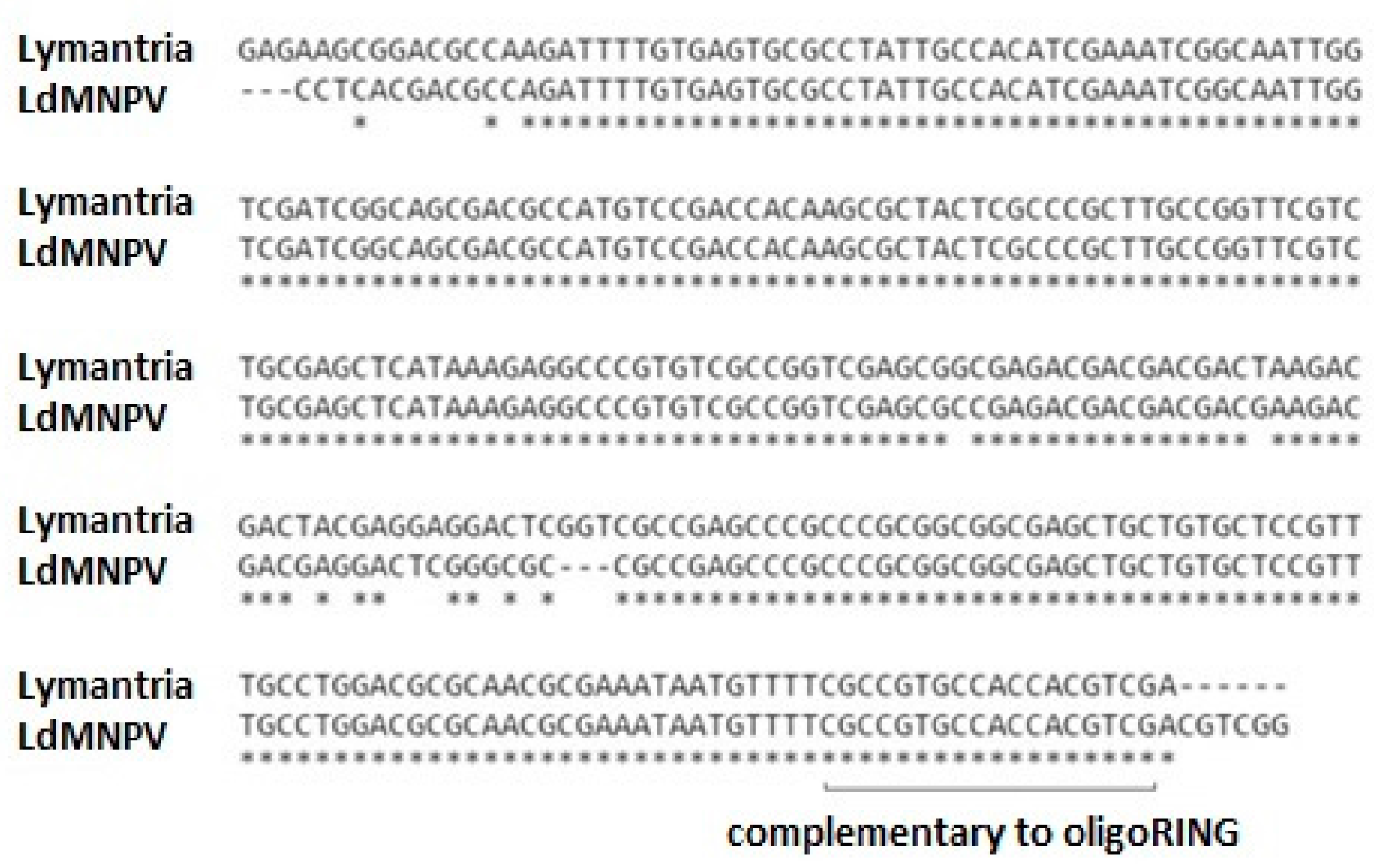 Ijms 18 02446 g001 Ijms 18 02446 g001