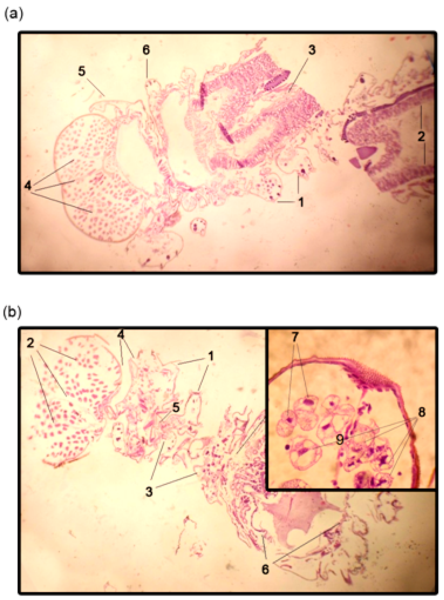 Ijms 18 02446 g003 Ijms 18 02446 g003