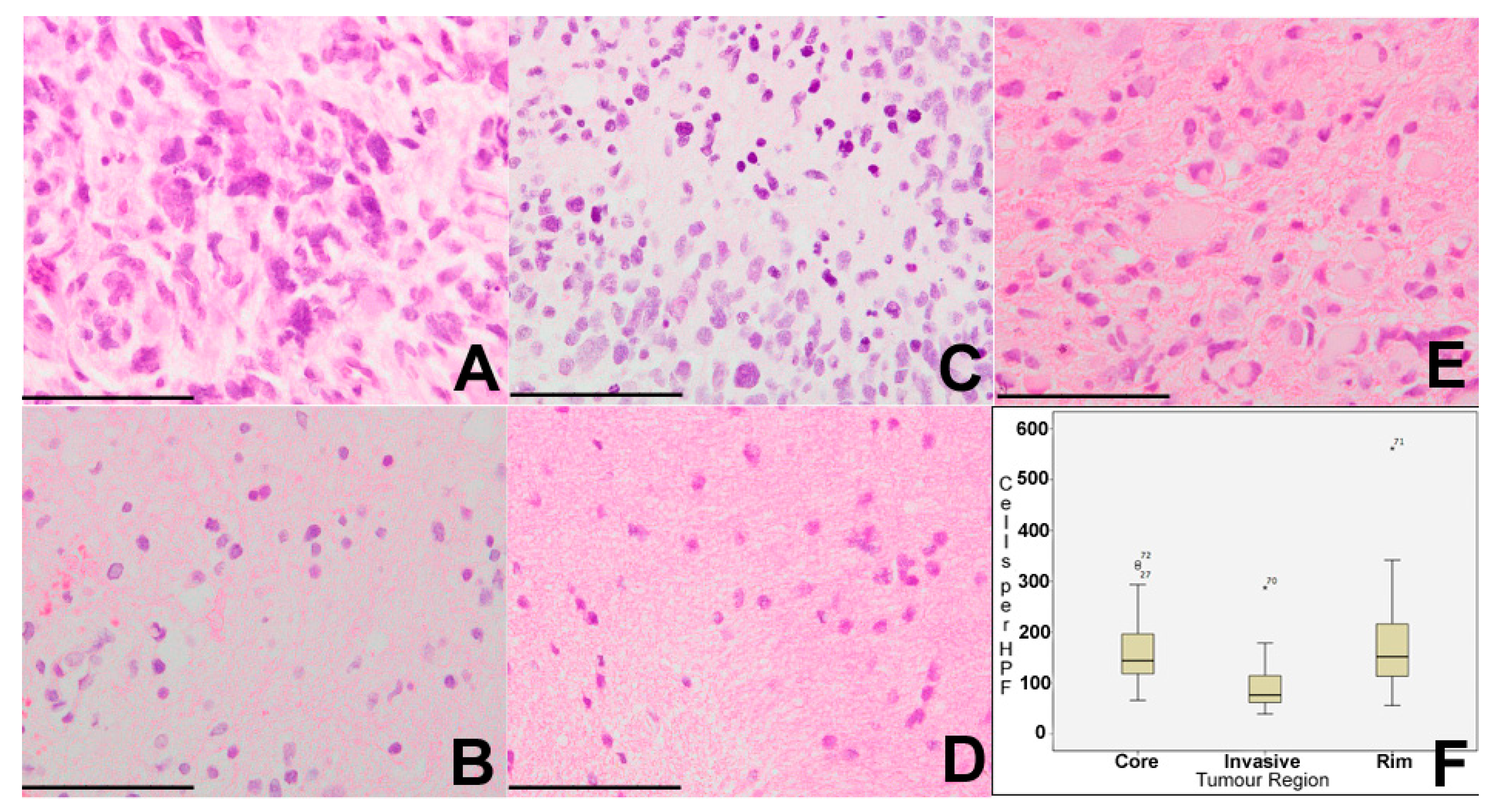 Ijms 18 02452 g001 Ijms 18 02452 g001
