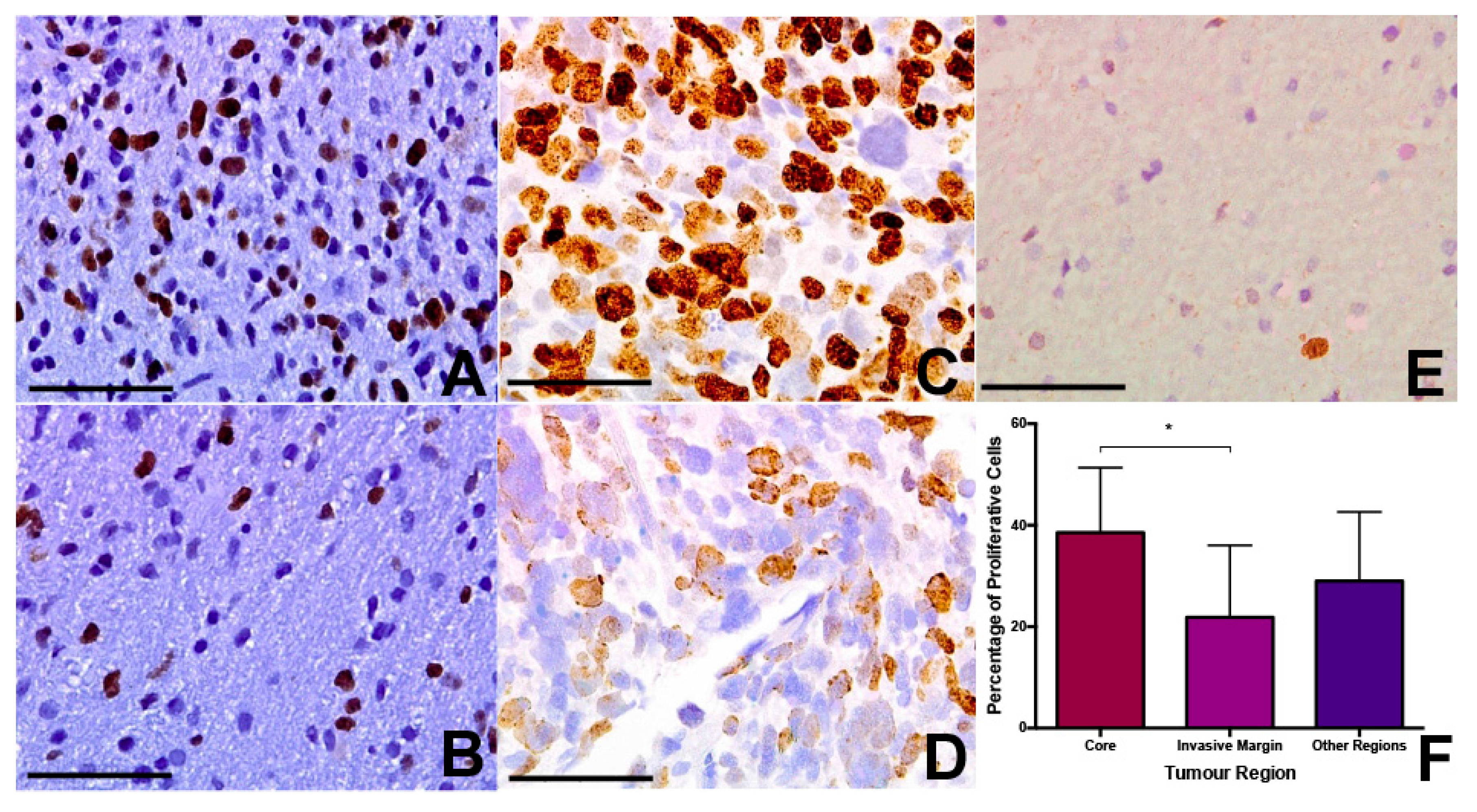 Ijms 18 02452 g002 Ijms 18 02452 g002