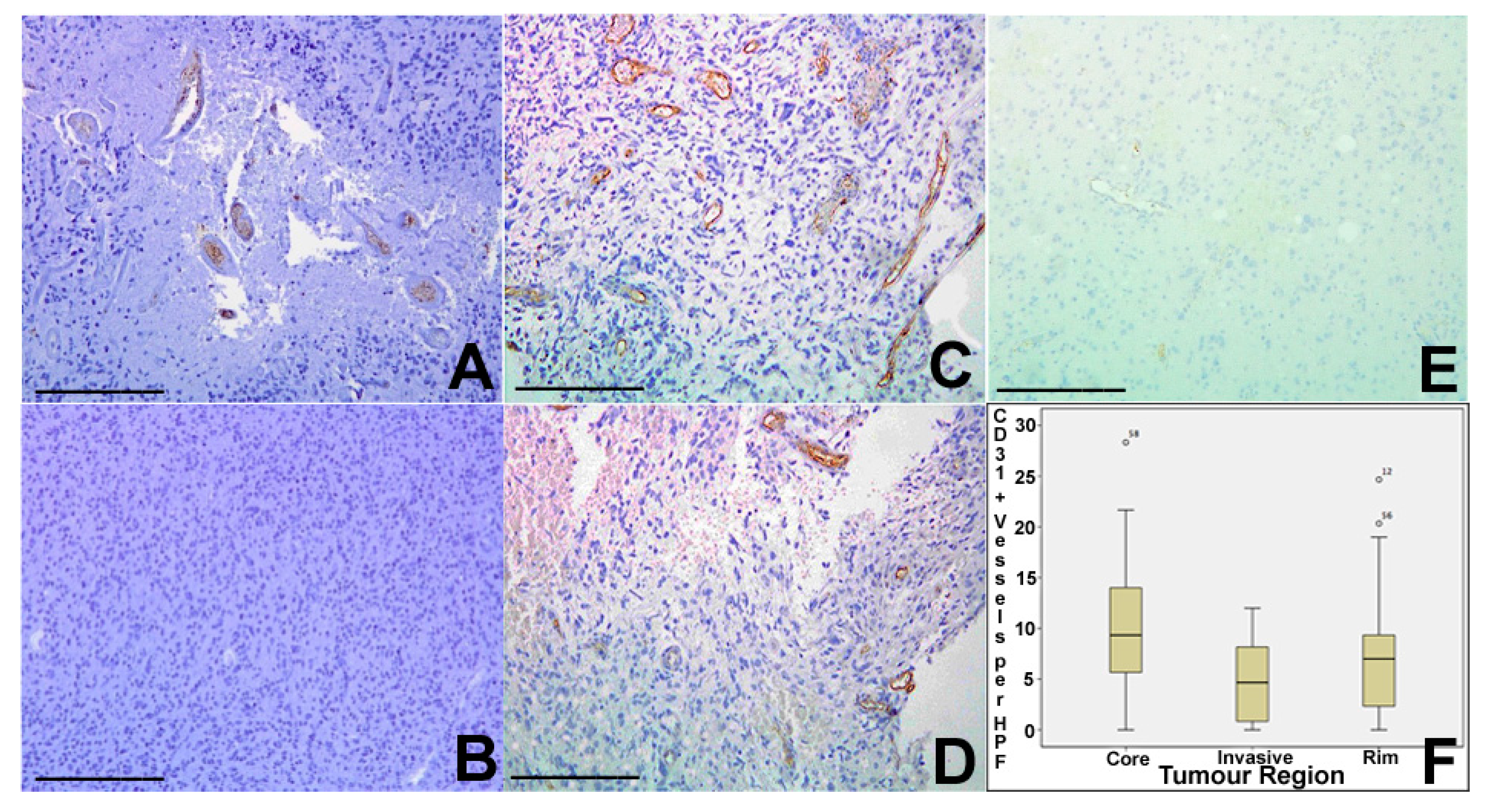 Ijms 18 02452 g003 Ijms 18 02452 g003
