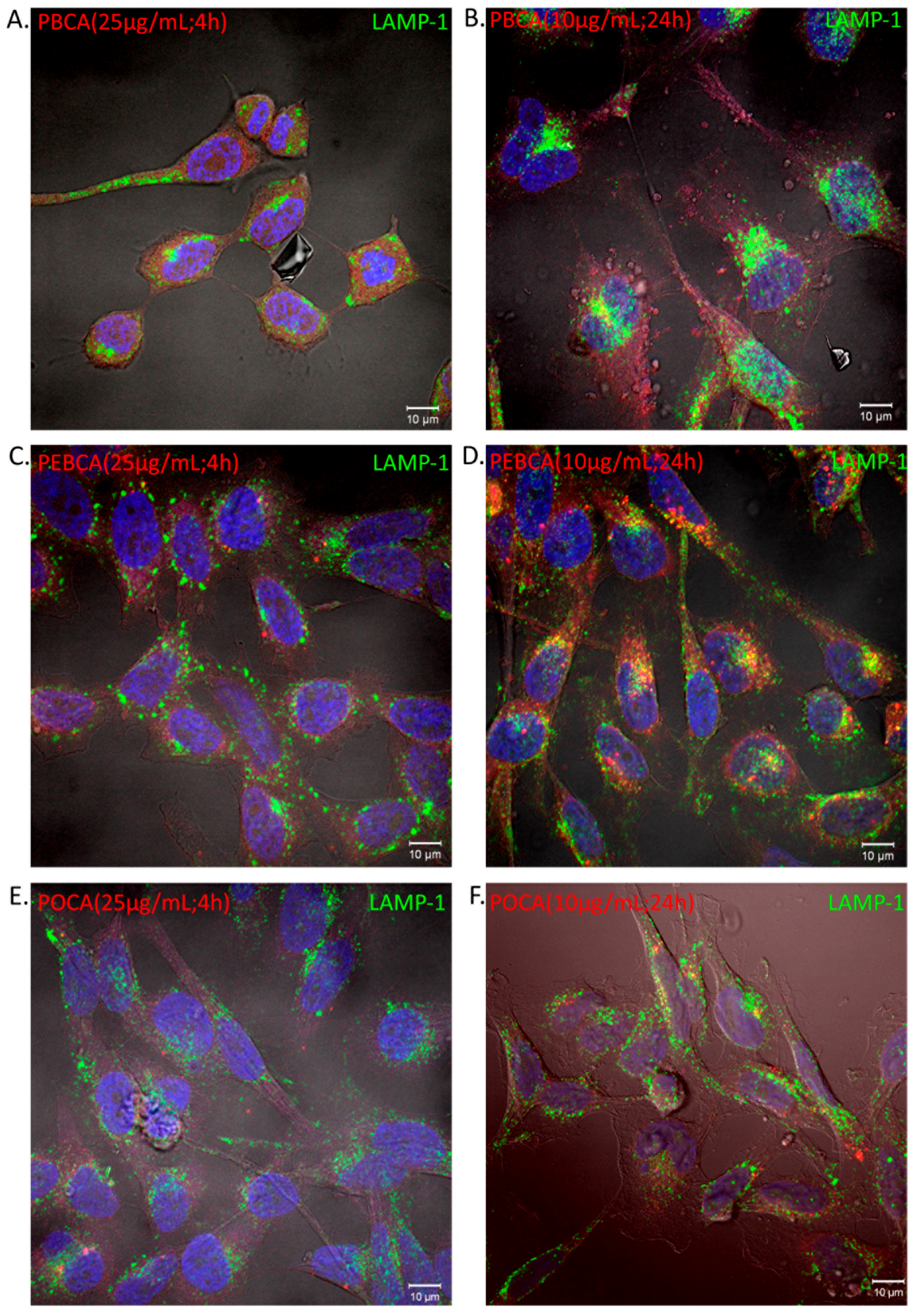 Ijms 18 02454 g007