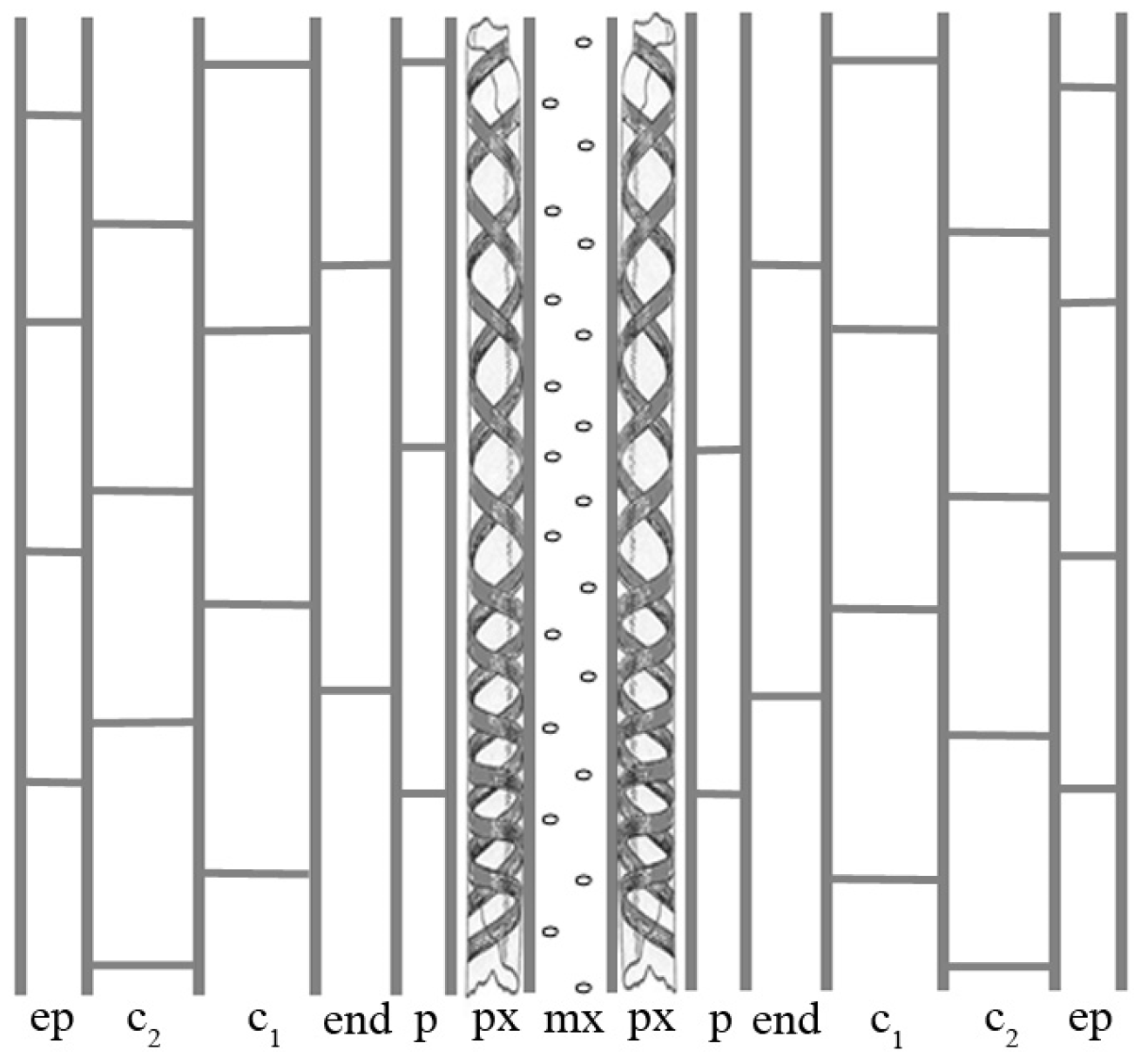 Ijms 18 02474 g001