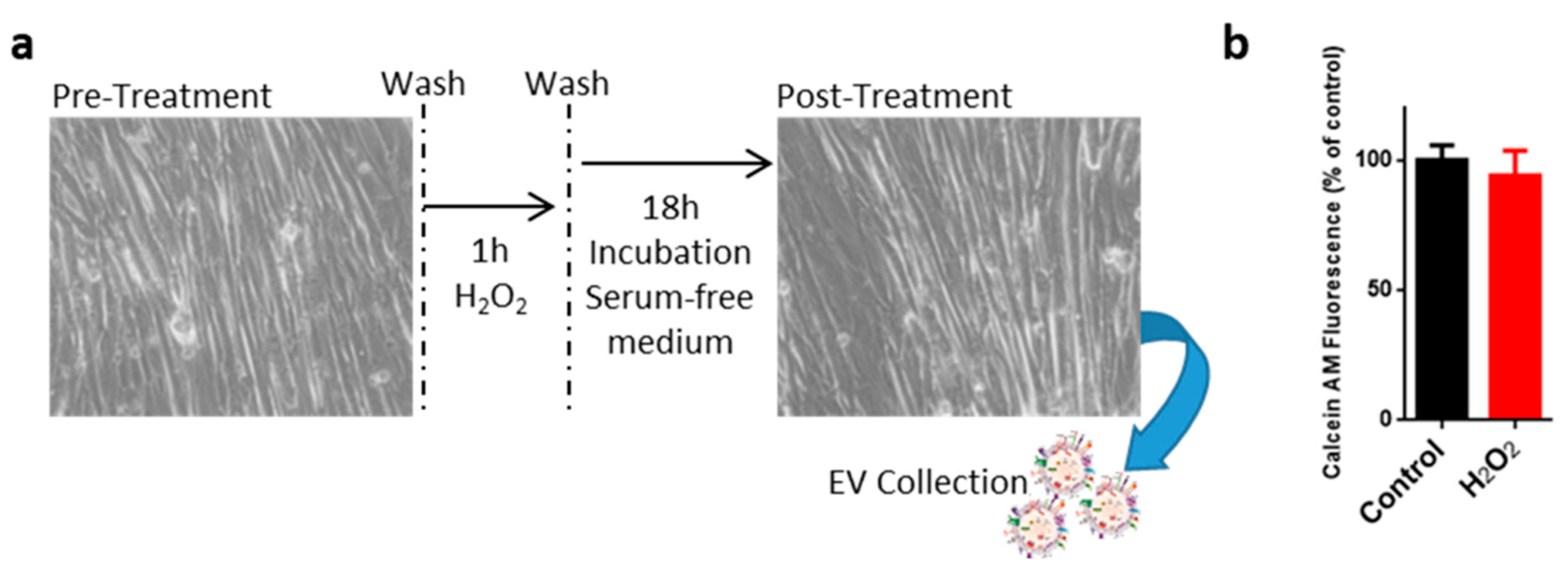 Ijms 18 02488 g001 Ijms 18 02488 g001