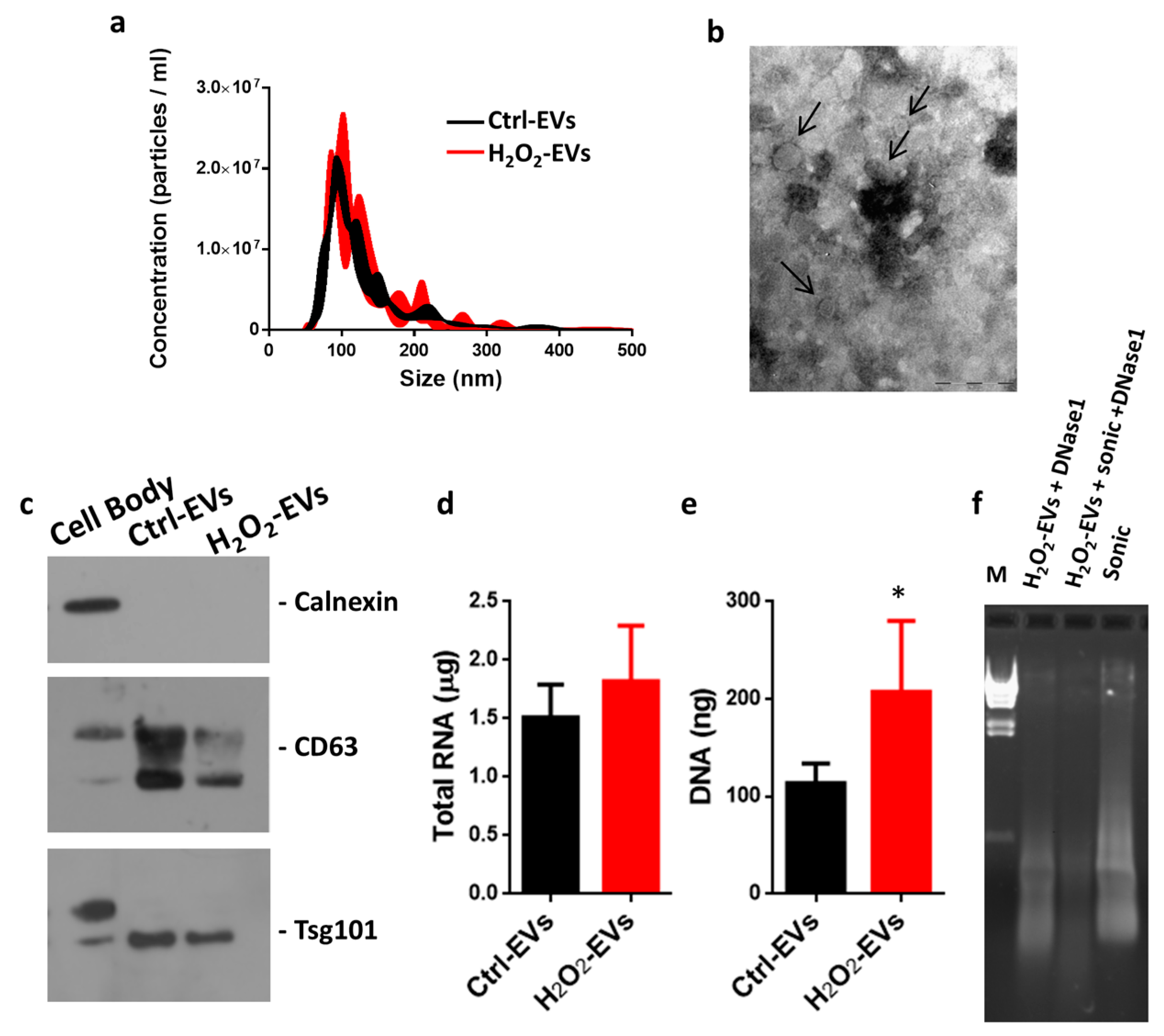 Ijms 18 02488 g002 Ijms 18 02488 g002
