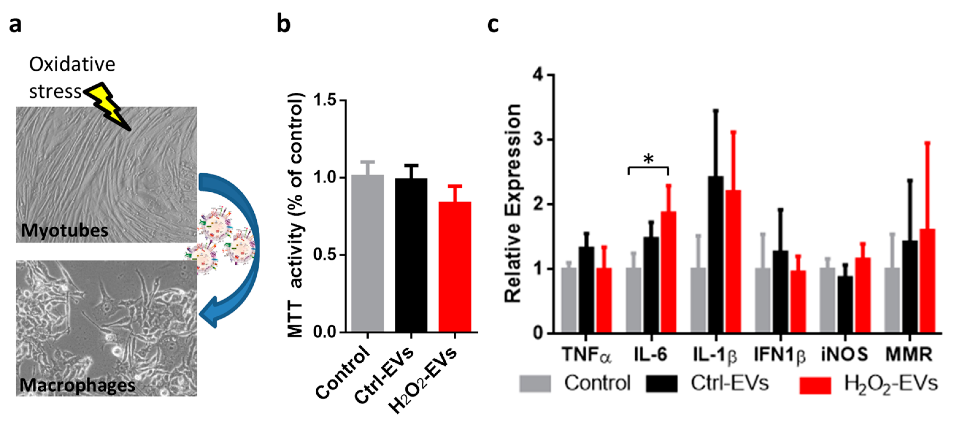 Ijms 18 02488 g004 Ijms 18 02488 g004