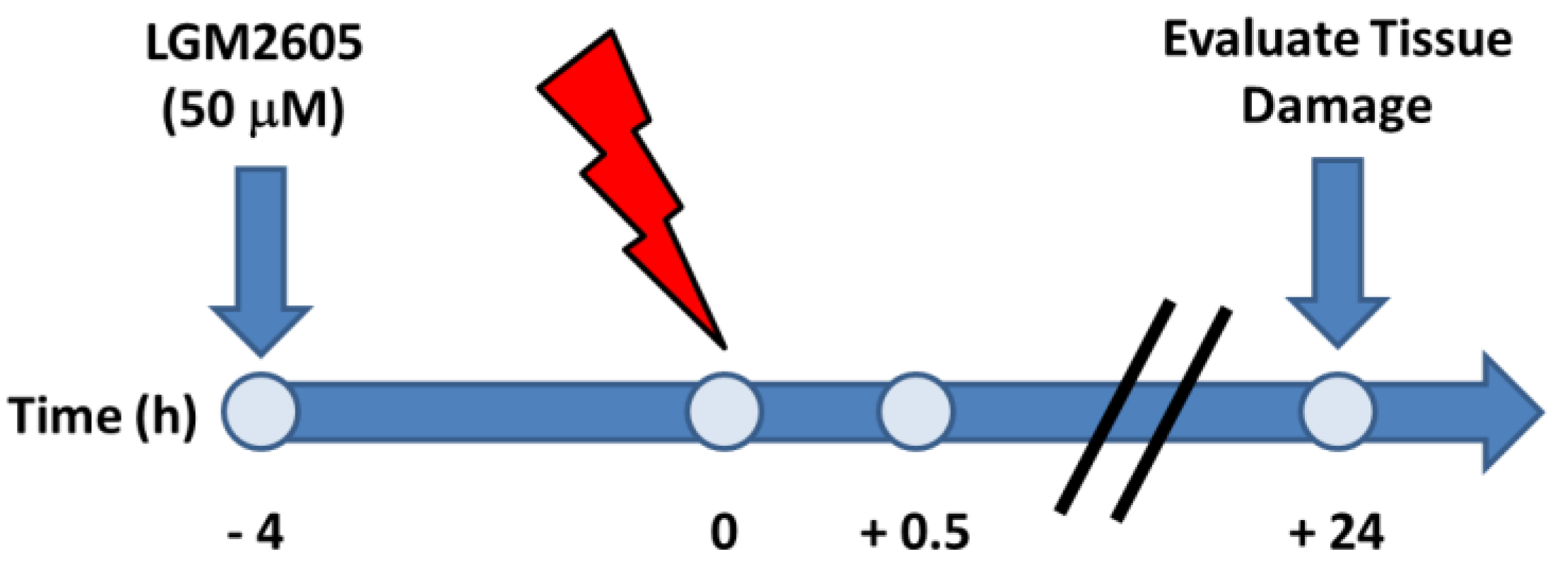Ijms 18 02525 sch001