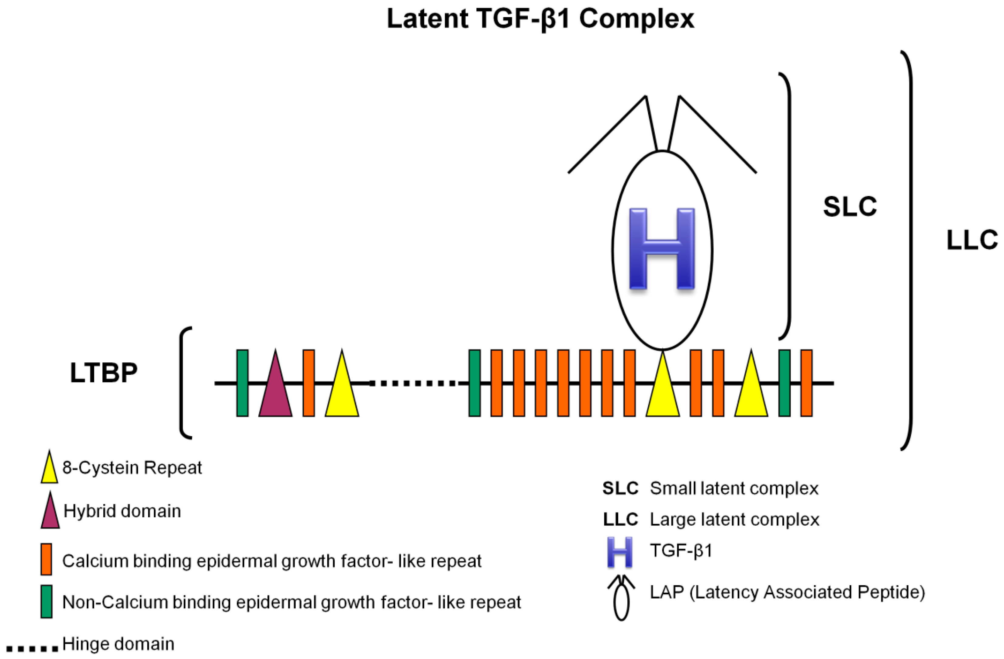 Ijms 18 02534 g001 Ijms 18 02534 g001