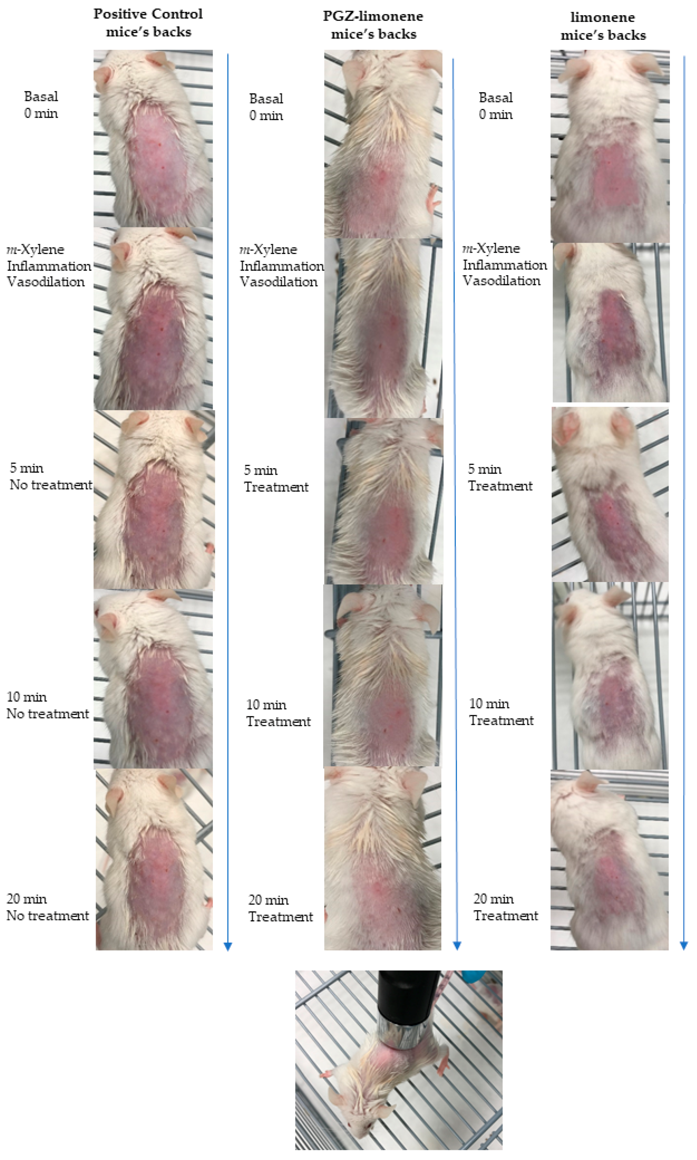 Ijms 18 02548 g003 Ijms 18 02548 g003