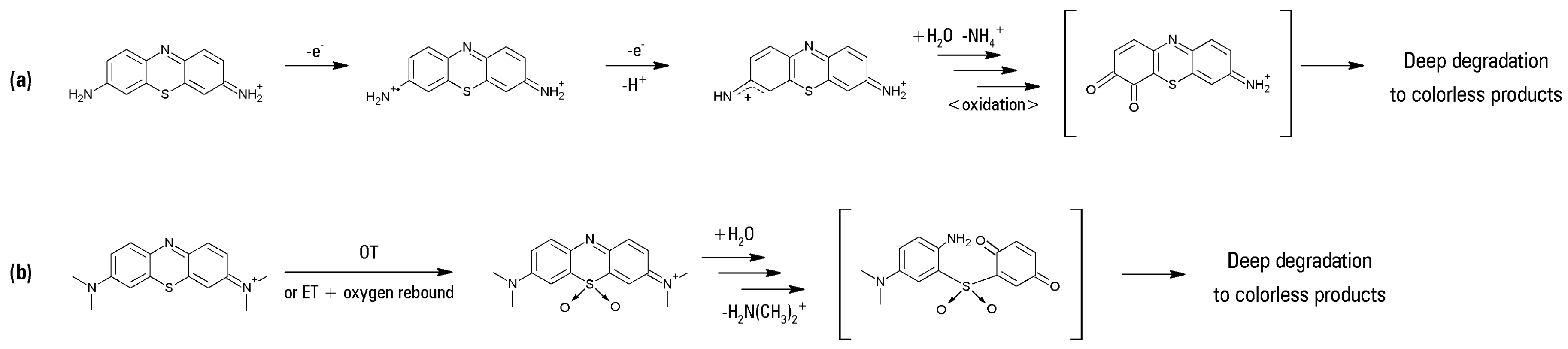 Ijms 18 02553 sch001 Ijms 18 02553 sch001
