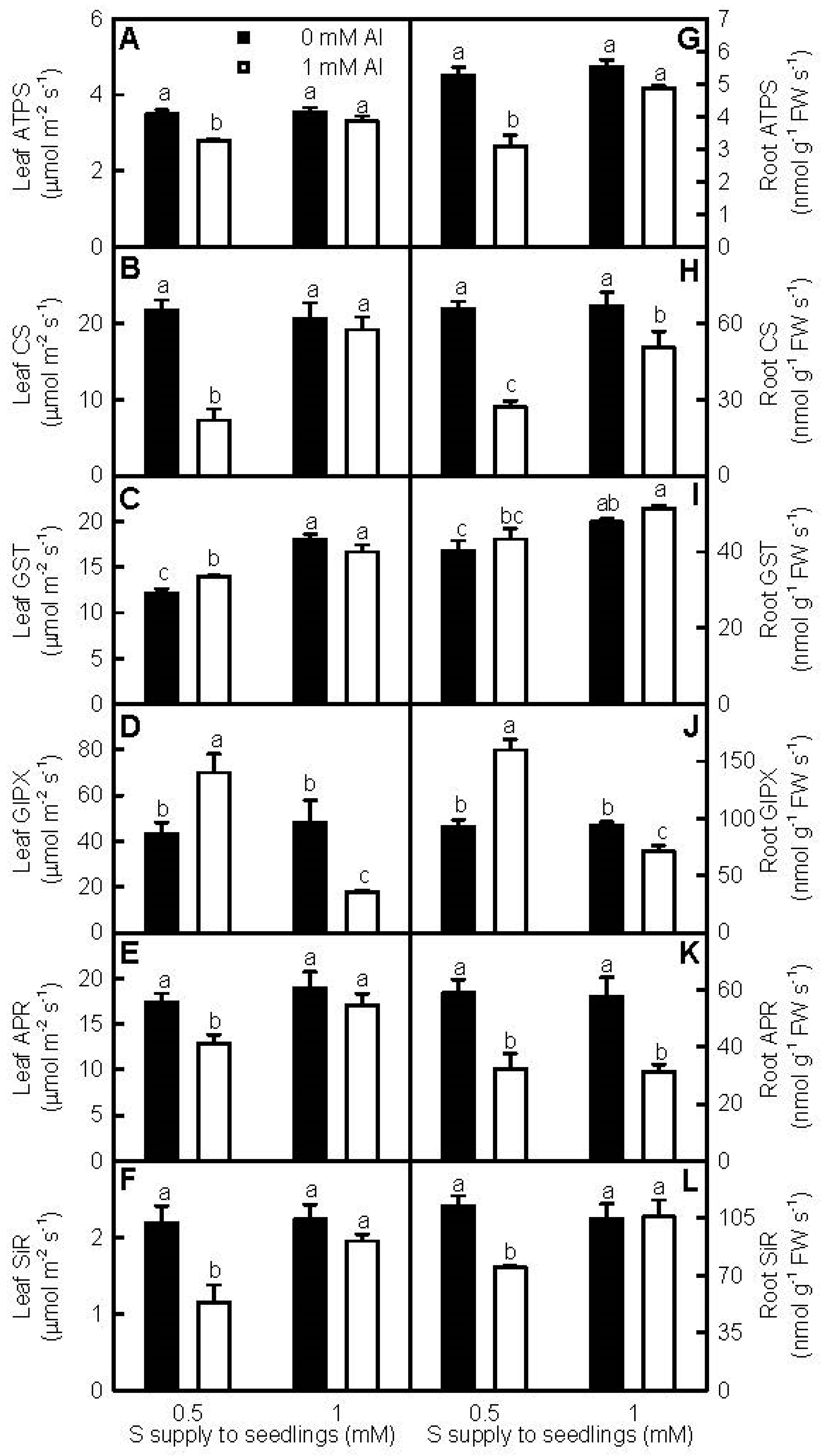 Ijms 18 02570 g006 Ijms 18 02570 g006