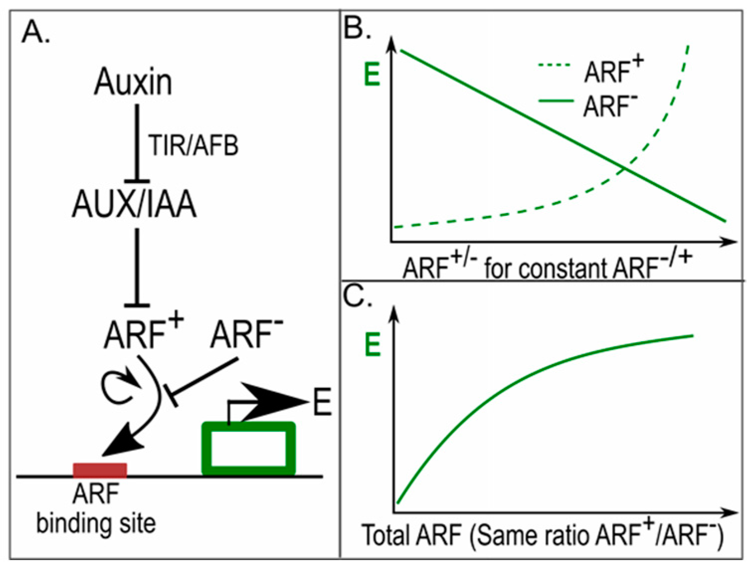 Ijms 18 02585 g004 Ijms 18 02585 g004