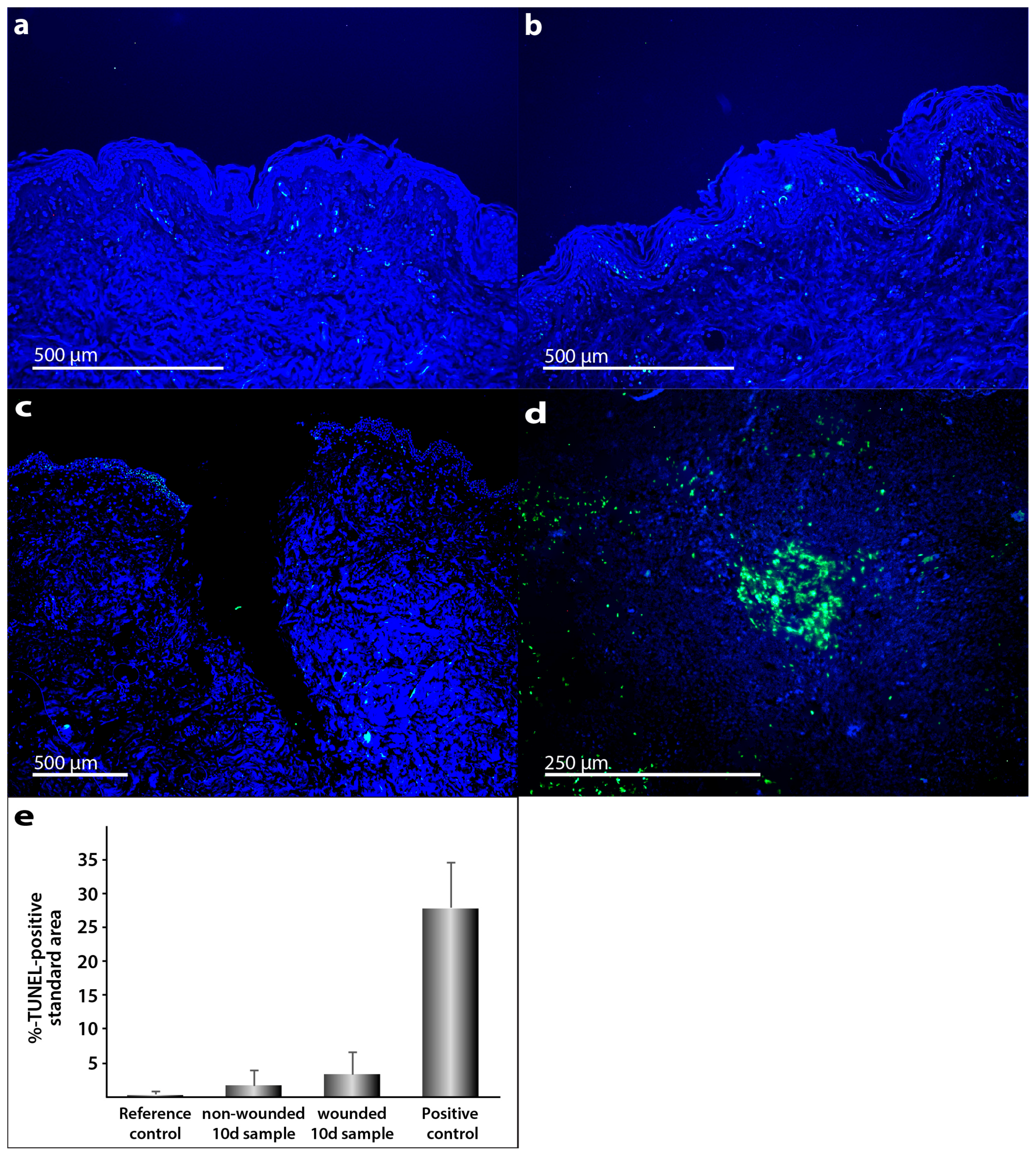 Ijms 18 02604 g003 Ijms 18 02604 g003