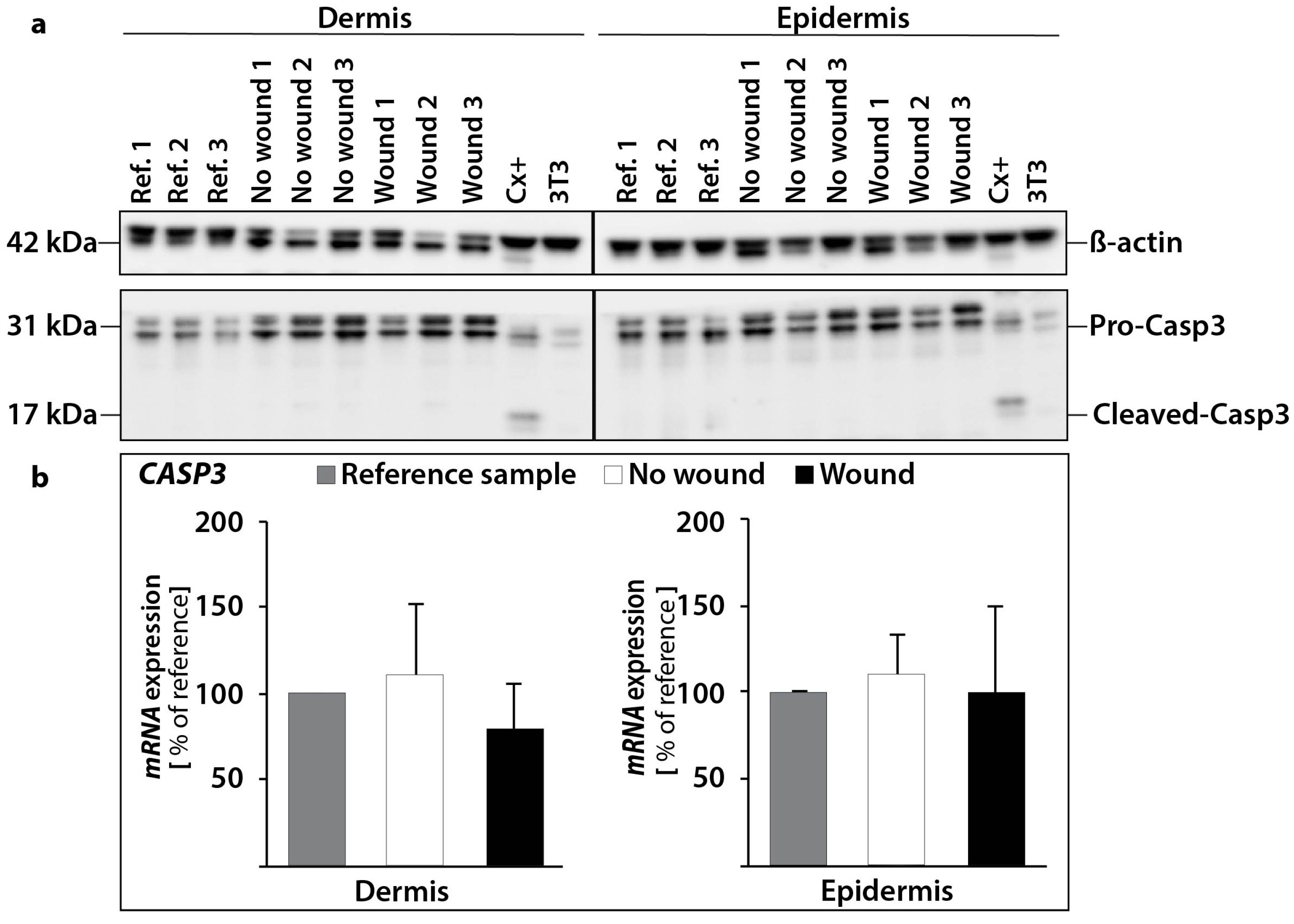 Ijms 18 02604 g006 Ijms 18 02604 g006