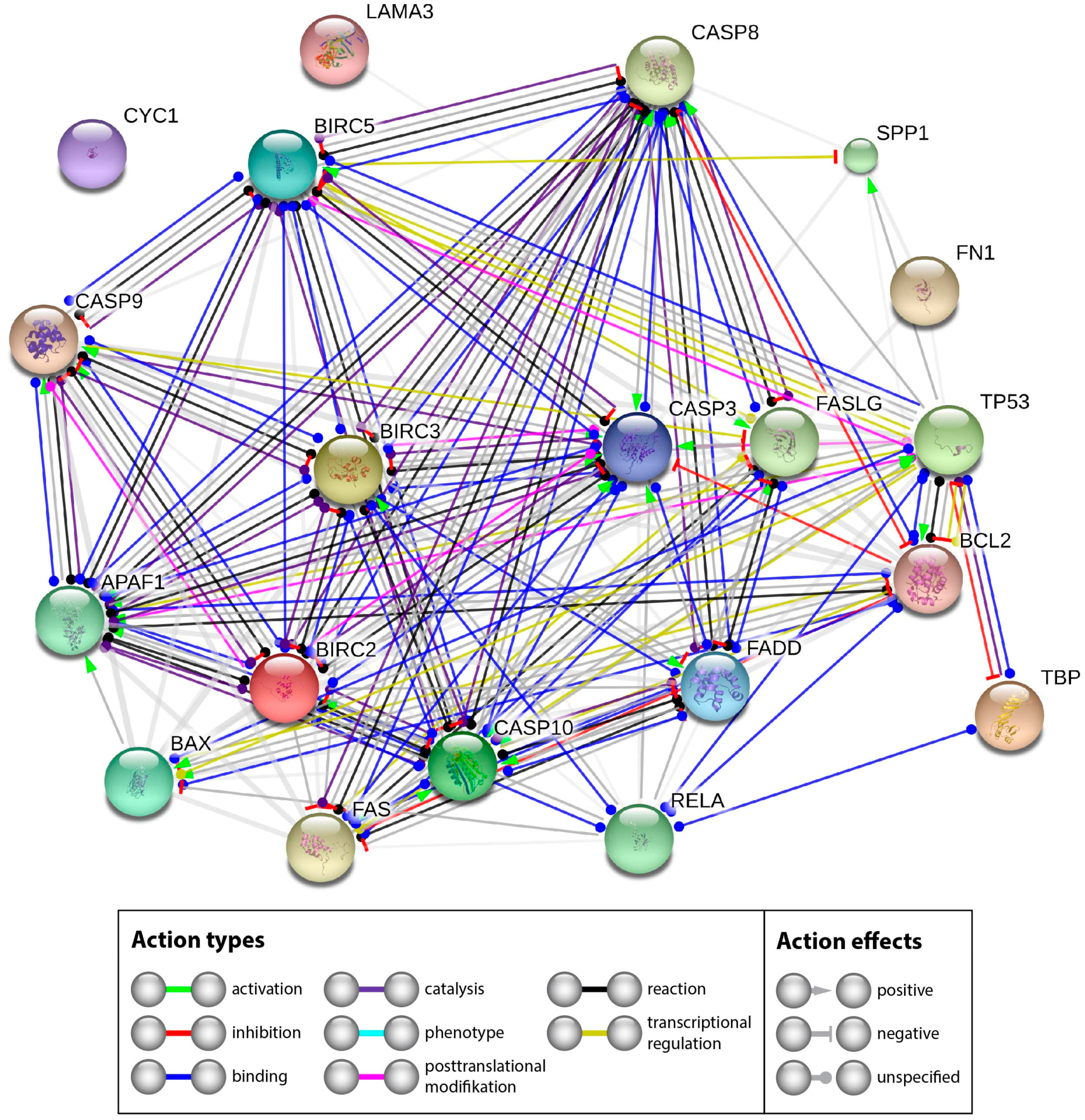 Ijms 18 02604 g011 Ijms 18 02604 g011