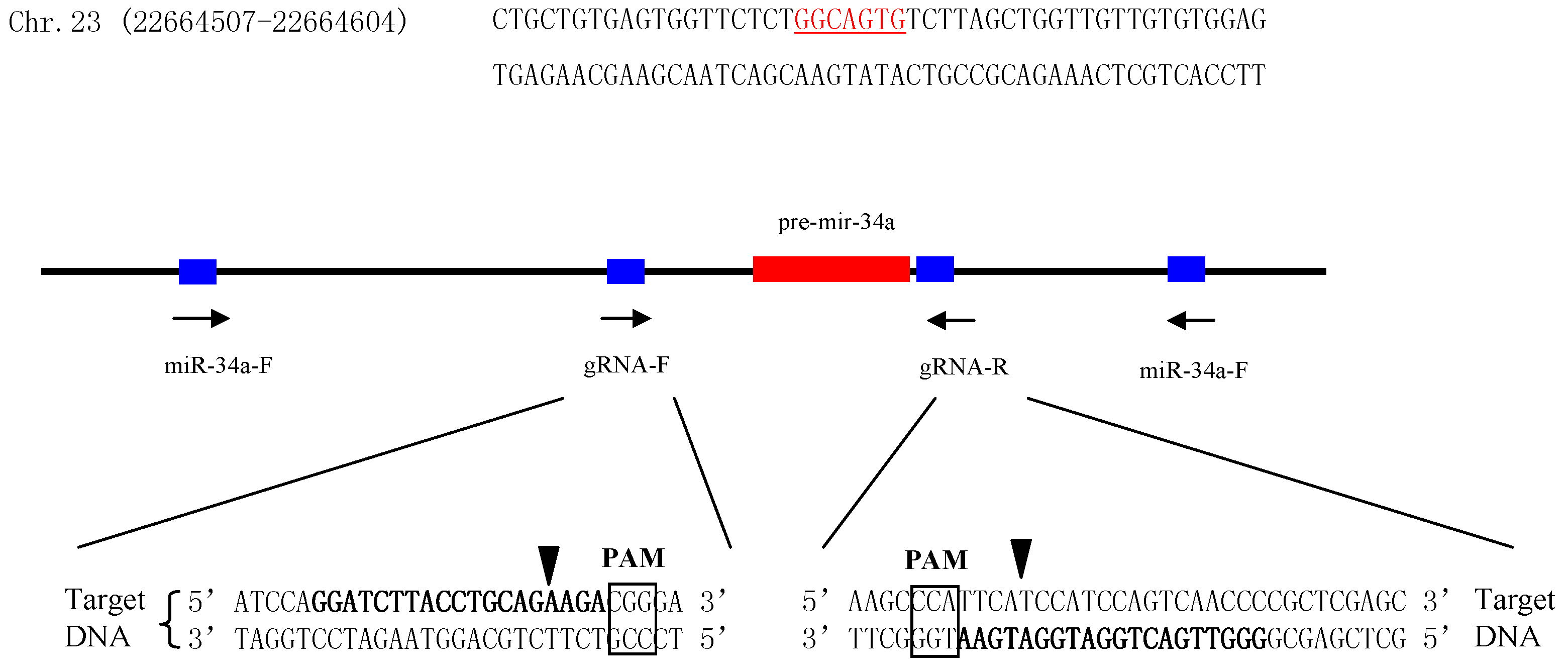 Ijms 18 02676 g002