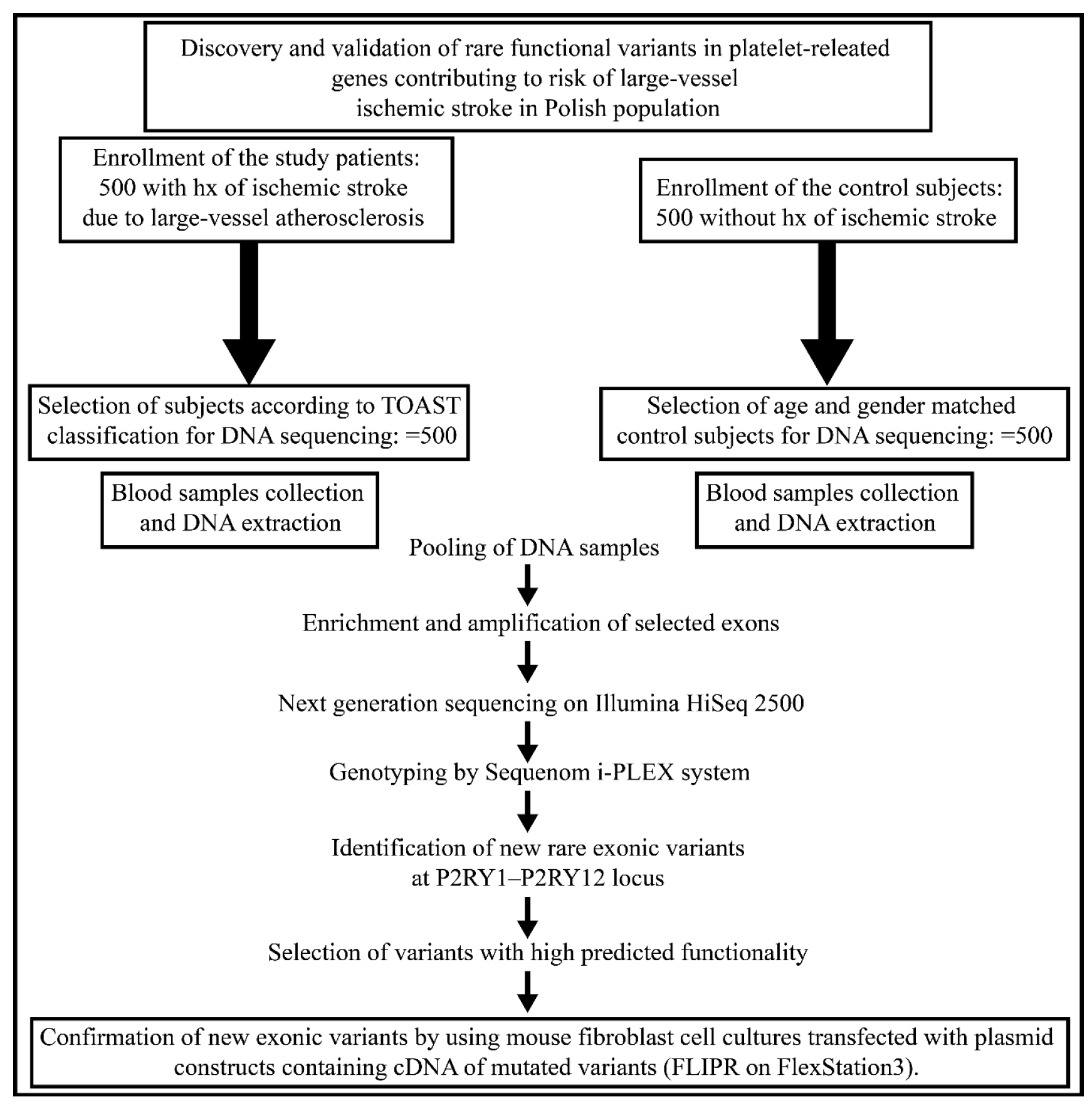 Ijms 18 02678 g001 Ijms 18 02678 g001