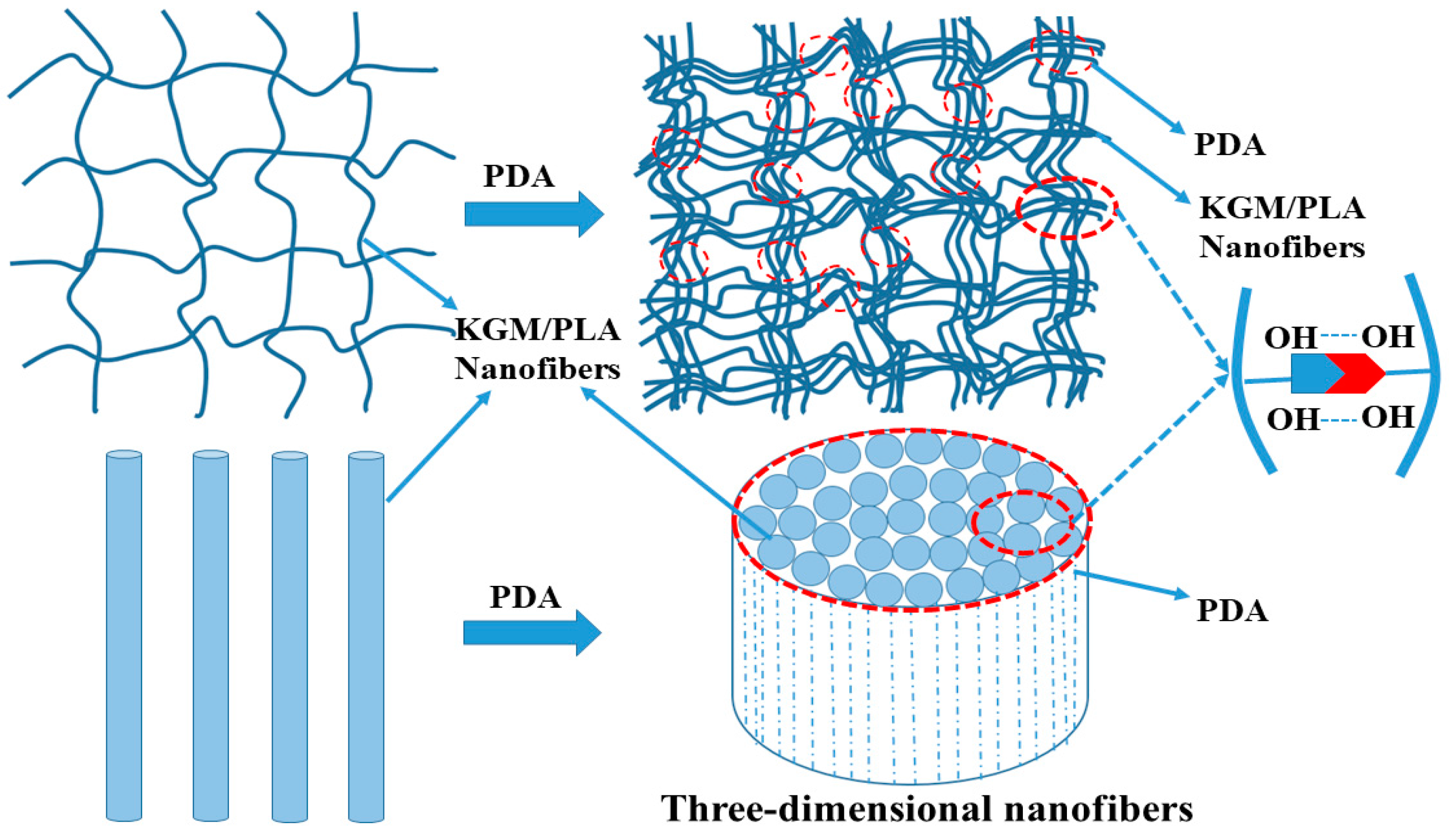 Ijms 18 02714 sch001
