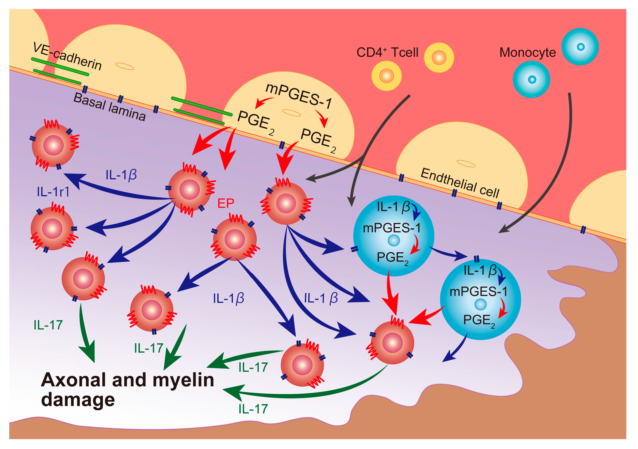 Ijms 18 02758 sch001