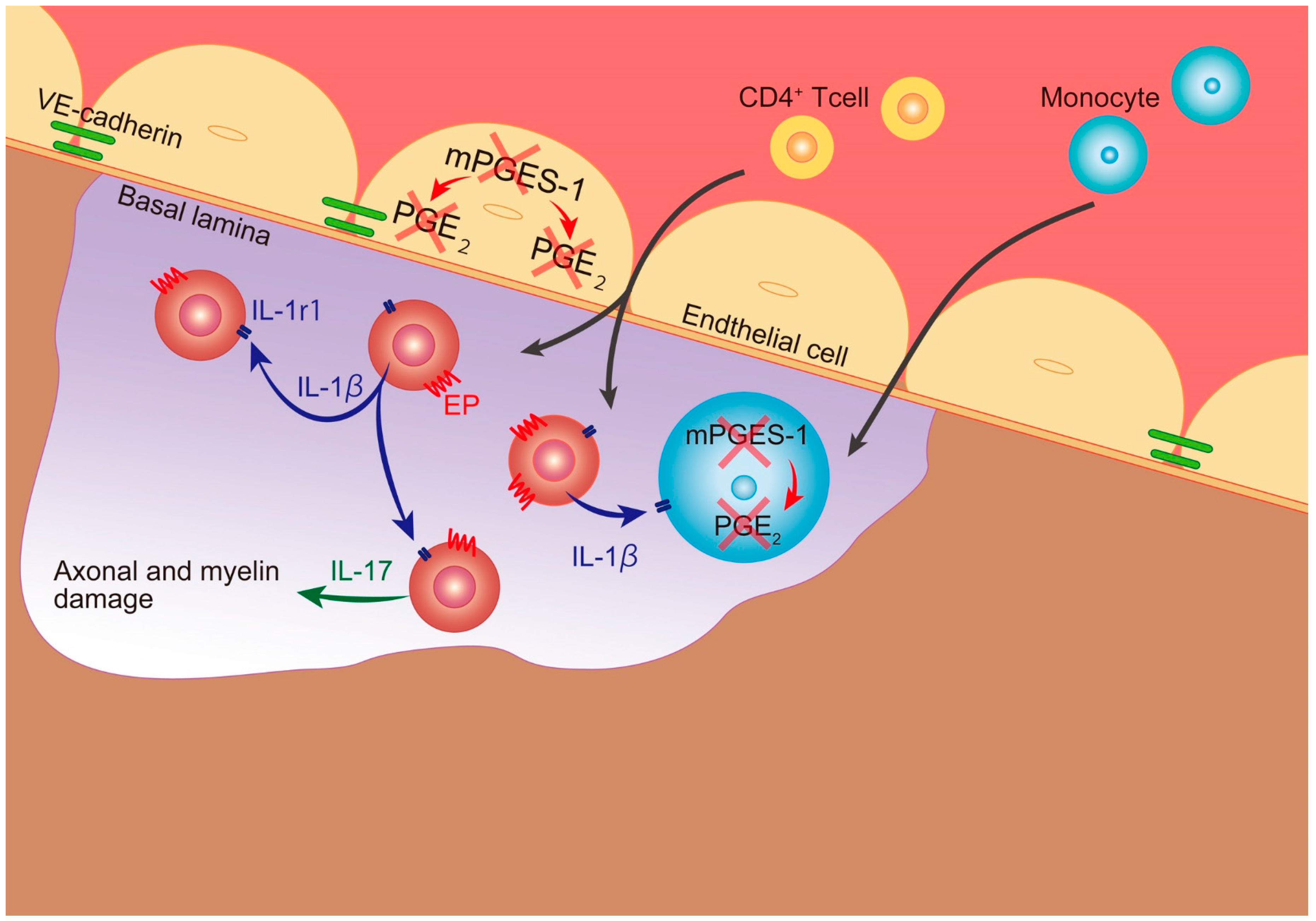 Ijms 18 02758 sch002