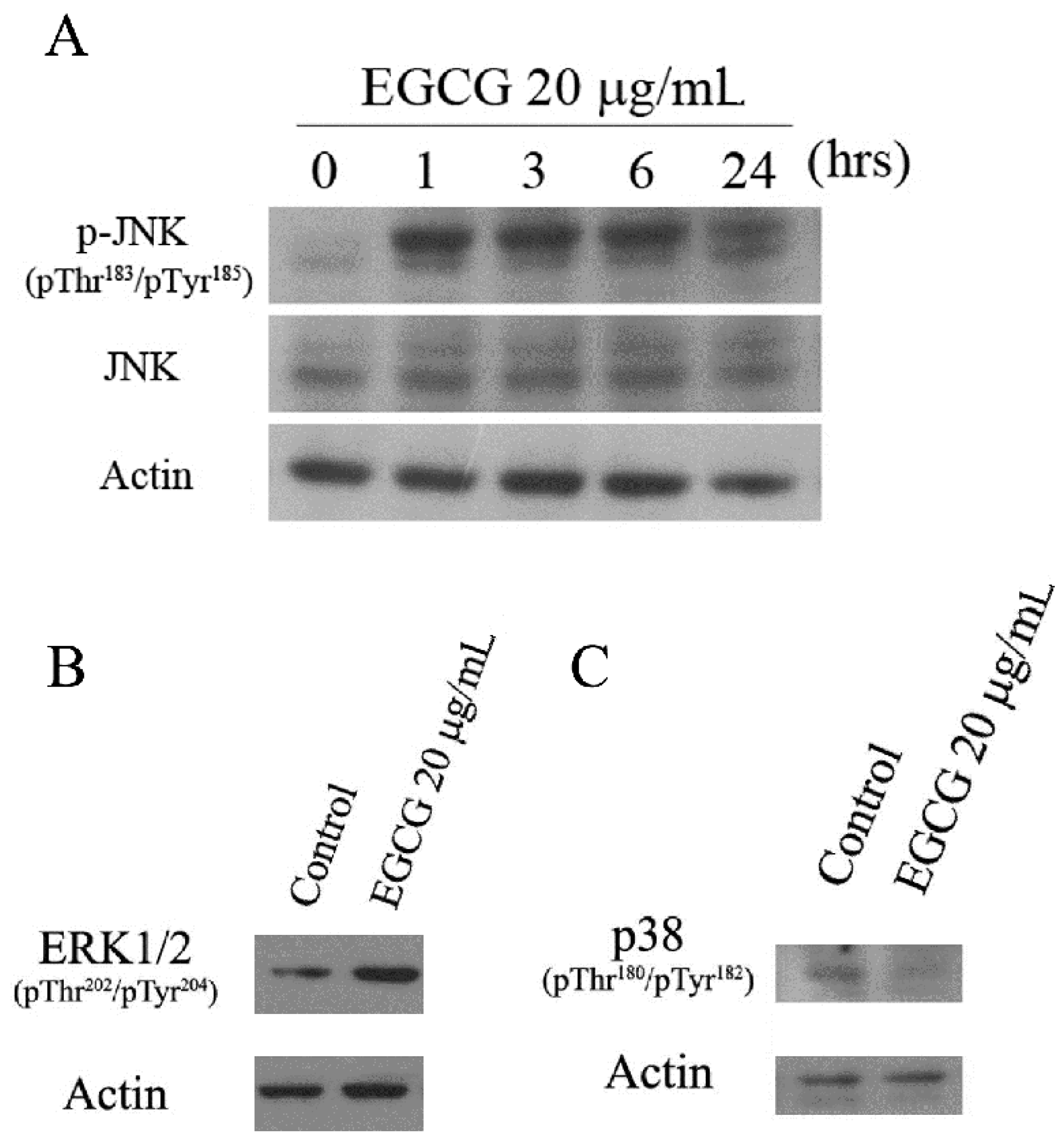Ijms 19 00016 g006
