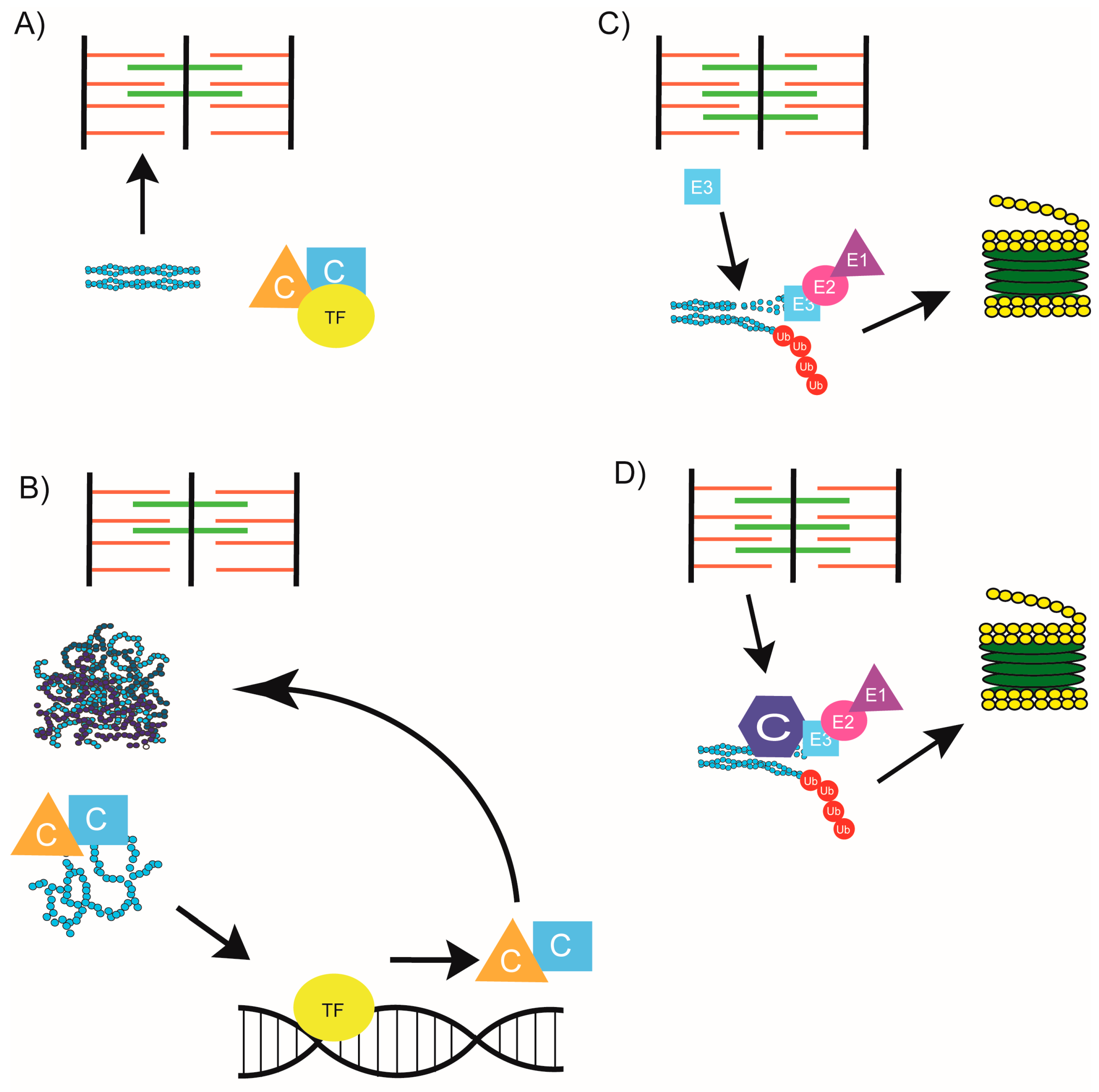 Ijms 19 00032 g005 Ijms 19 00032 g005