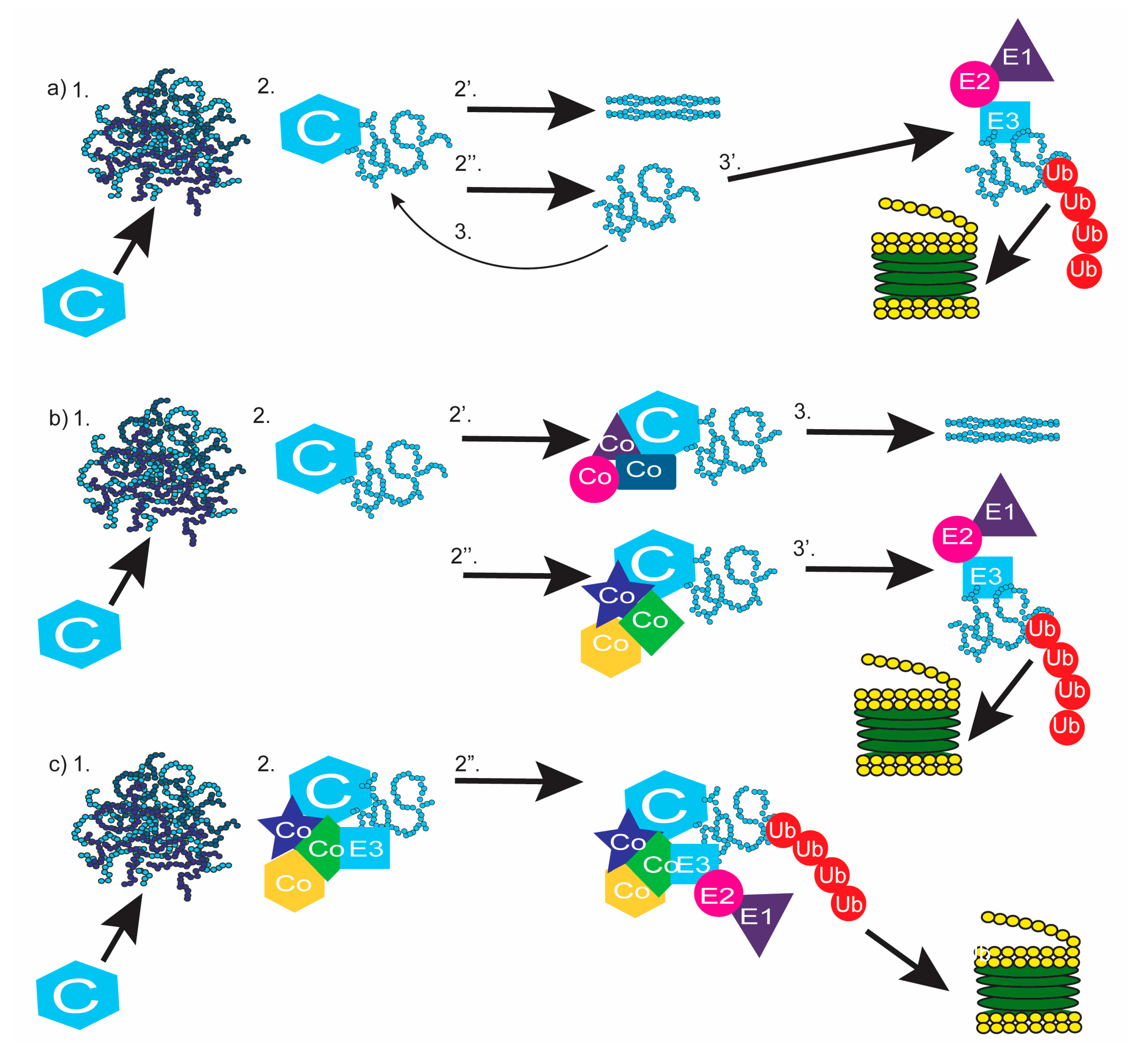 Ijms 19 00032 g006 Ijms 19 00032 g006