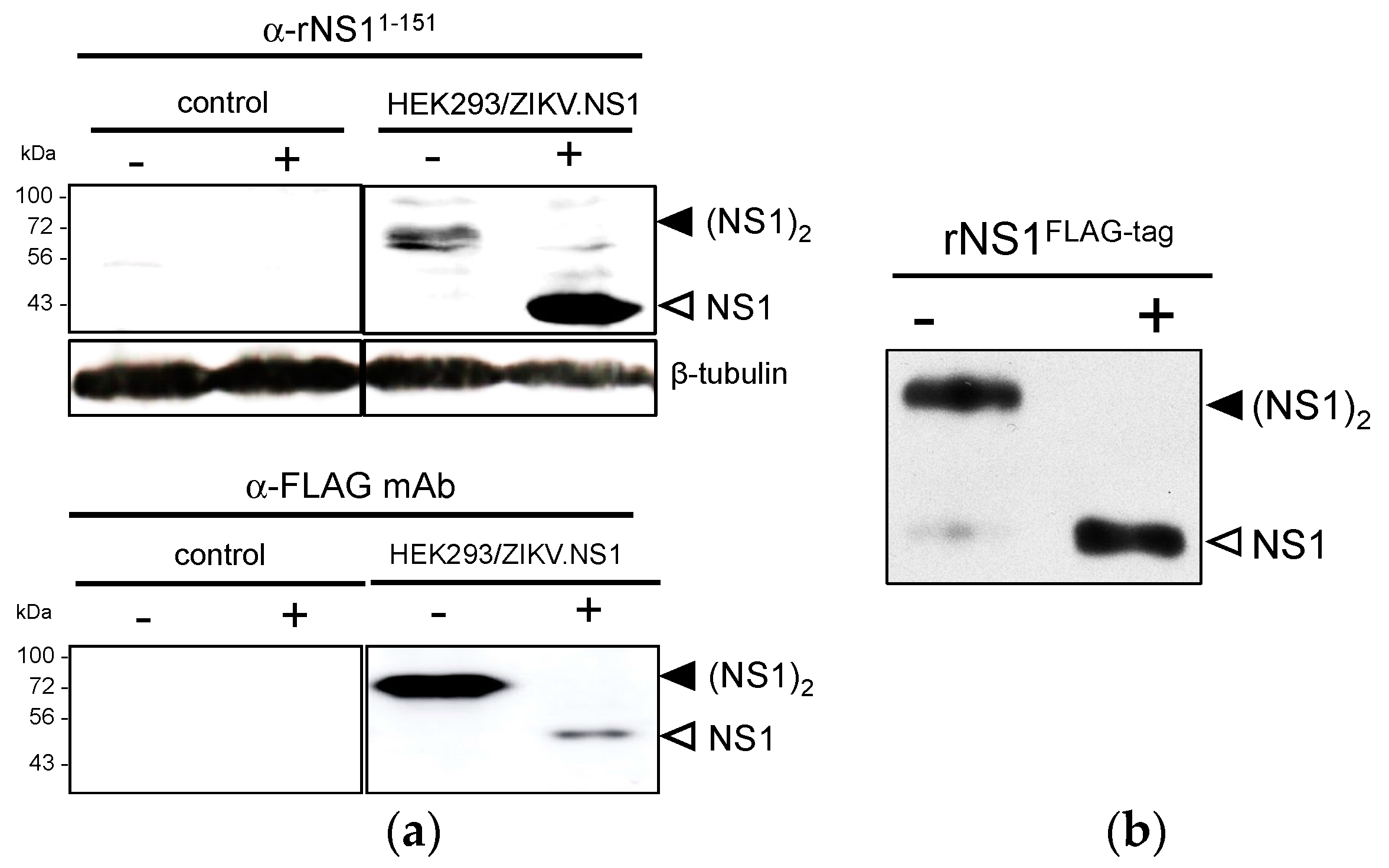 Ijms 19 00038 g002 Ijms 19 00038 g002