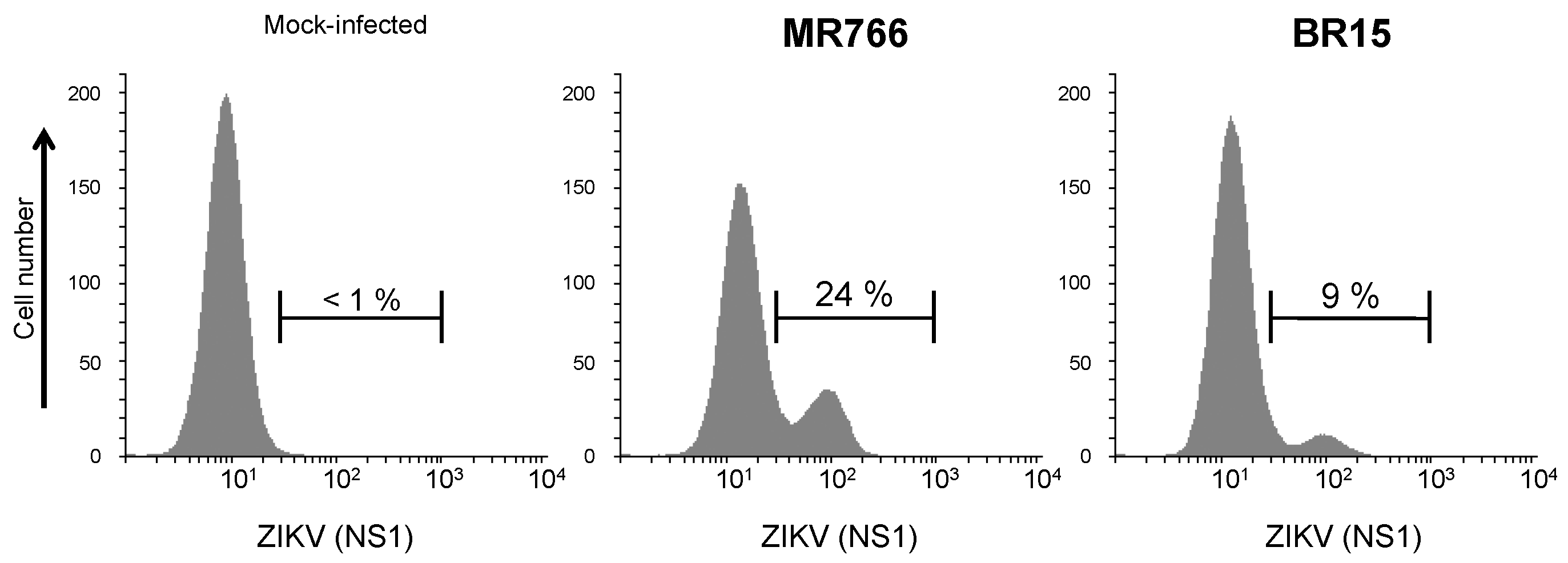 Ijms 19 00038 g008 Ijms 19 00038 g008