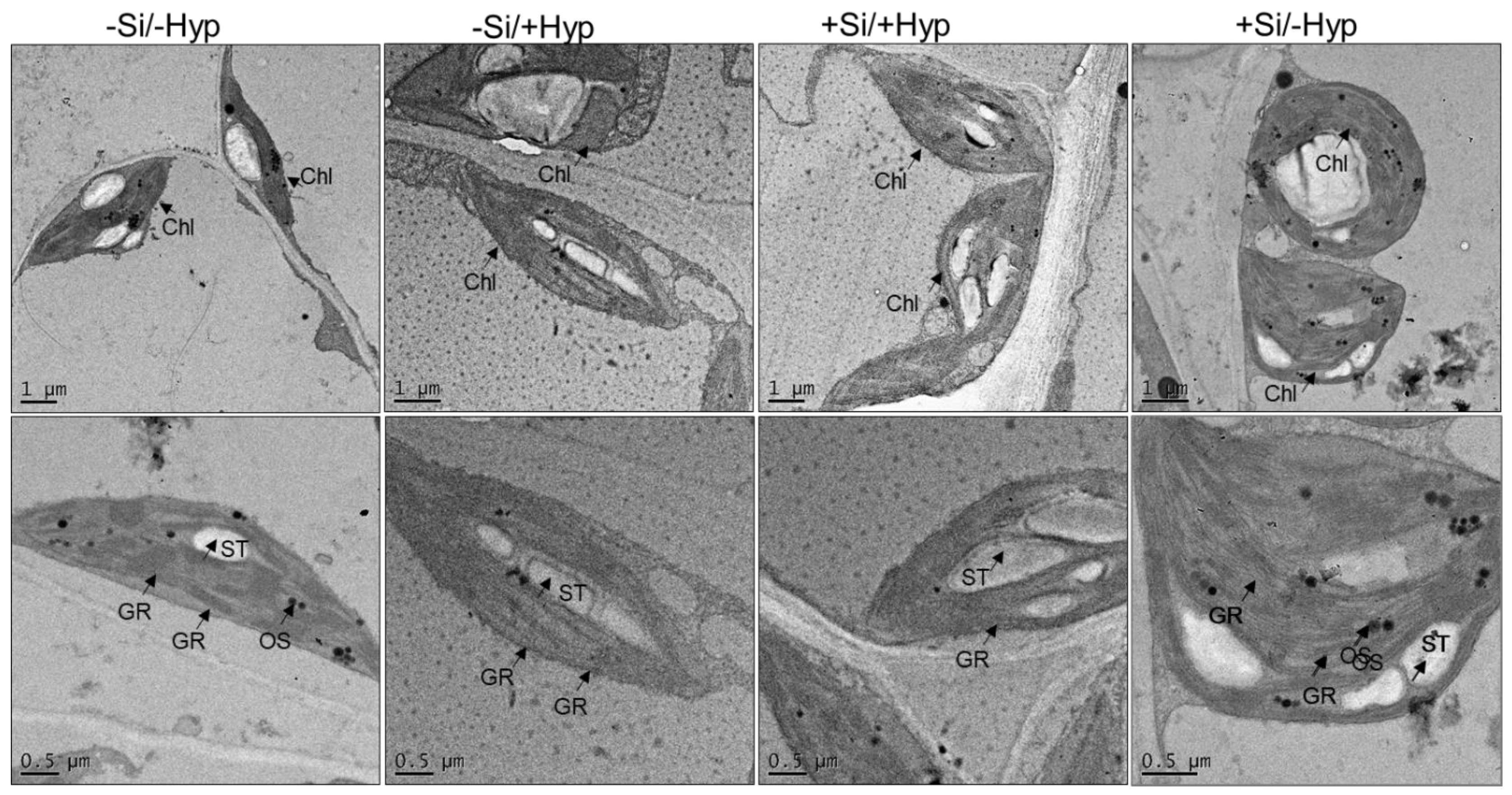 Ijms 19 00050 g007