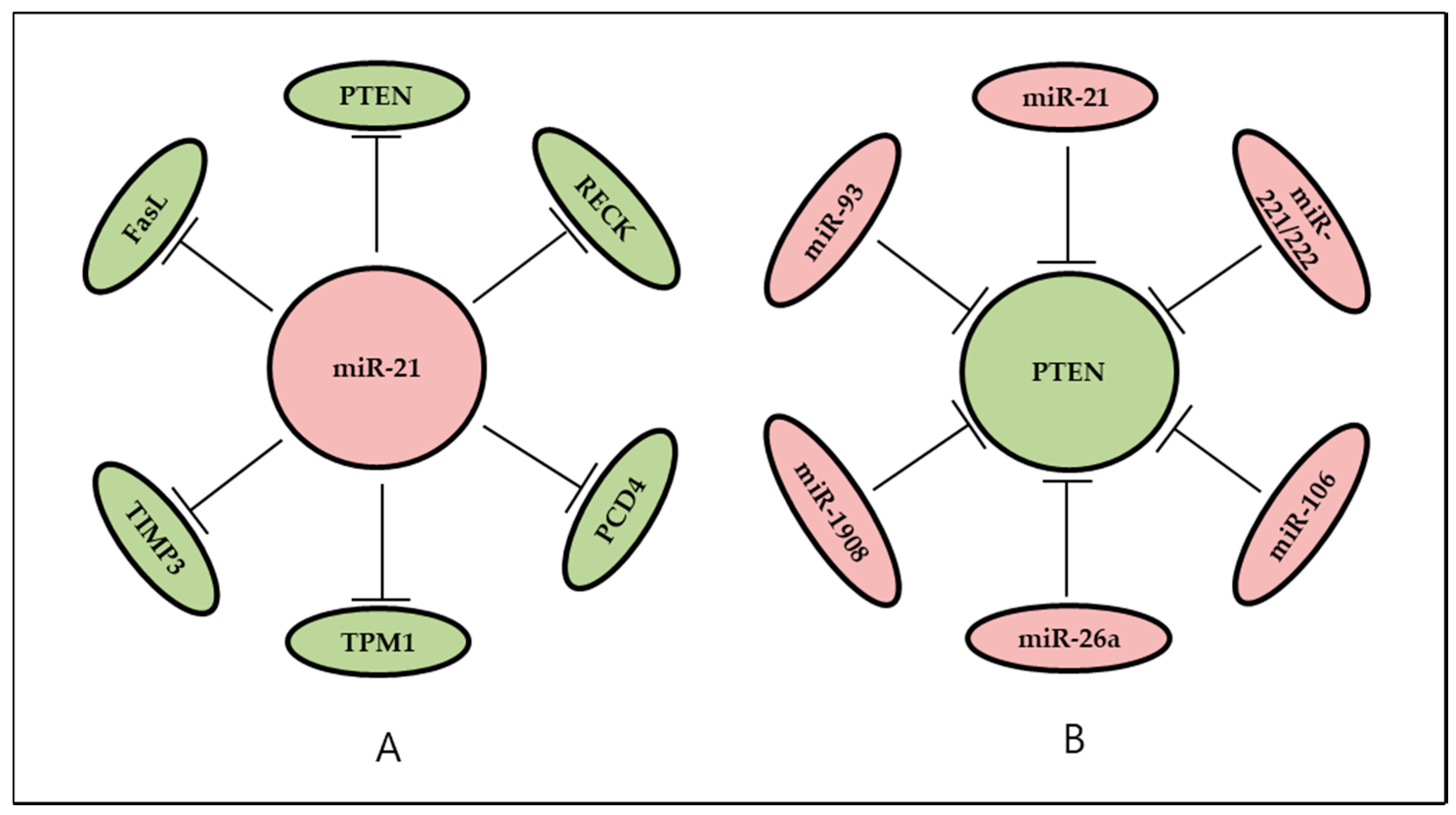 Ijms 19 00065 g002