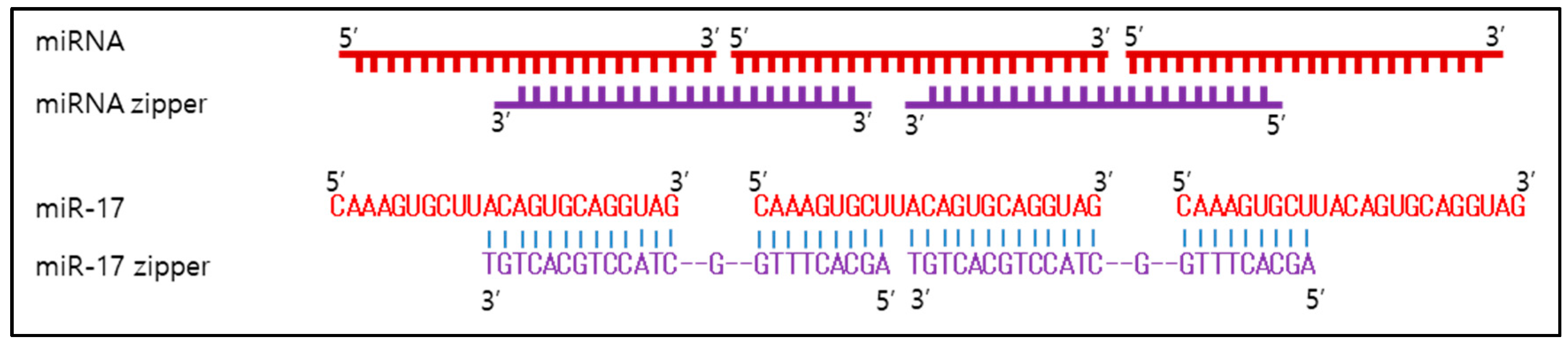Ijms 19 00065 g003