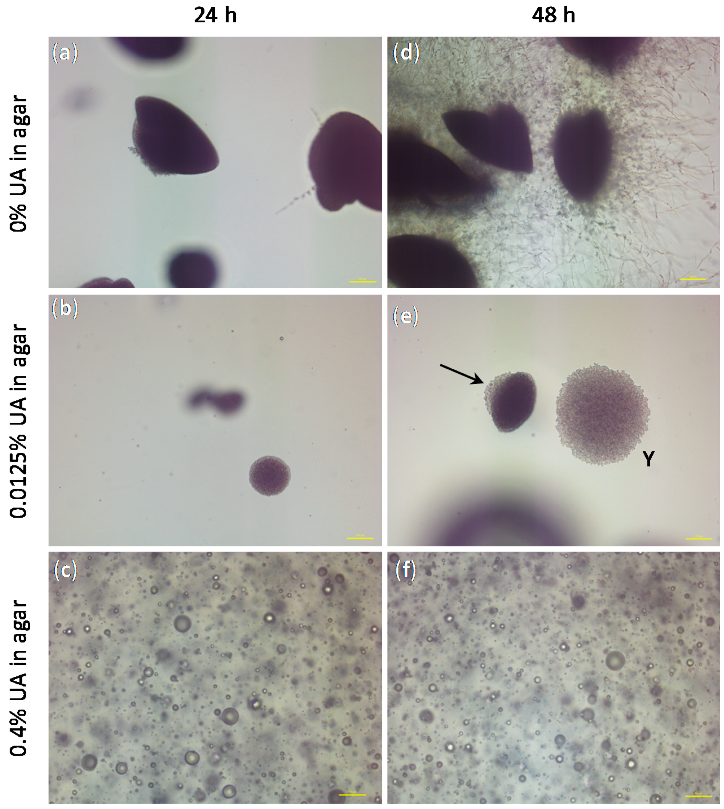 Ijms 19 00184 g008