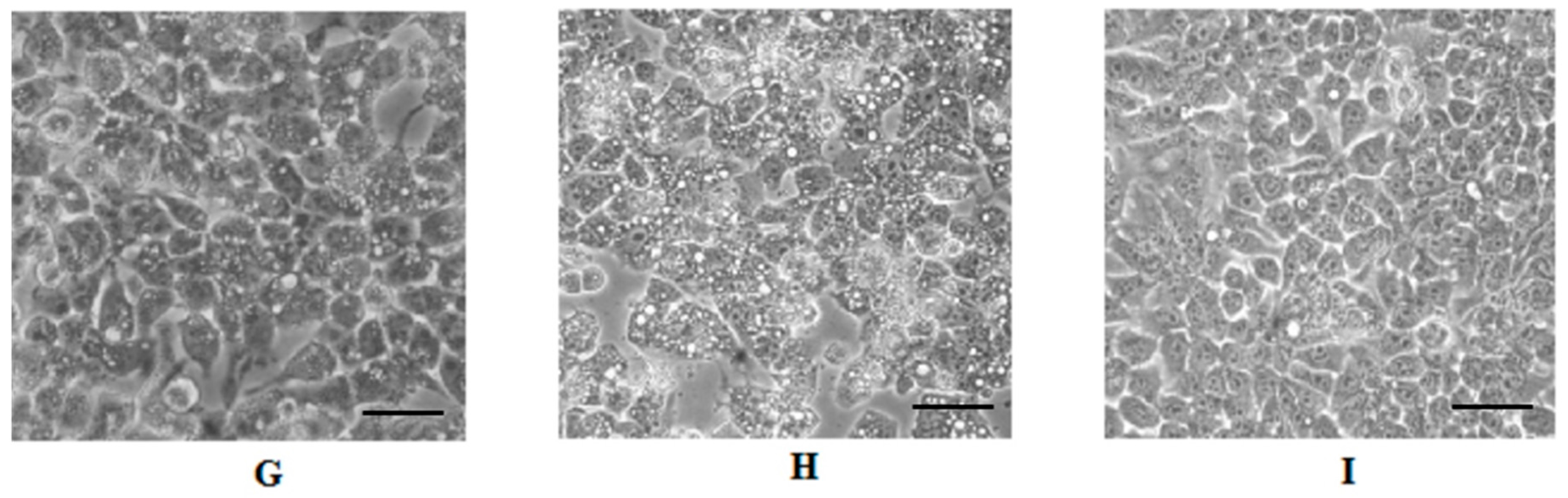 Ijms 19 00186 g003b