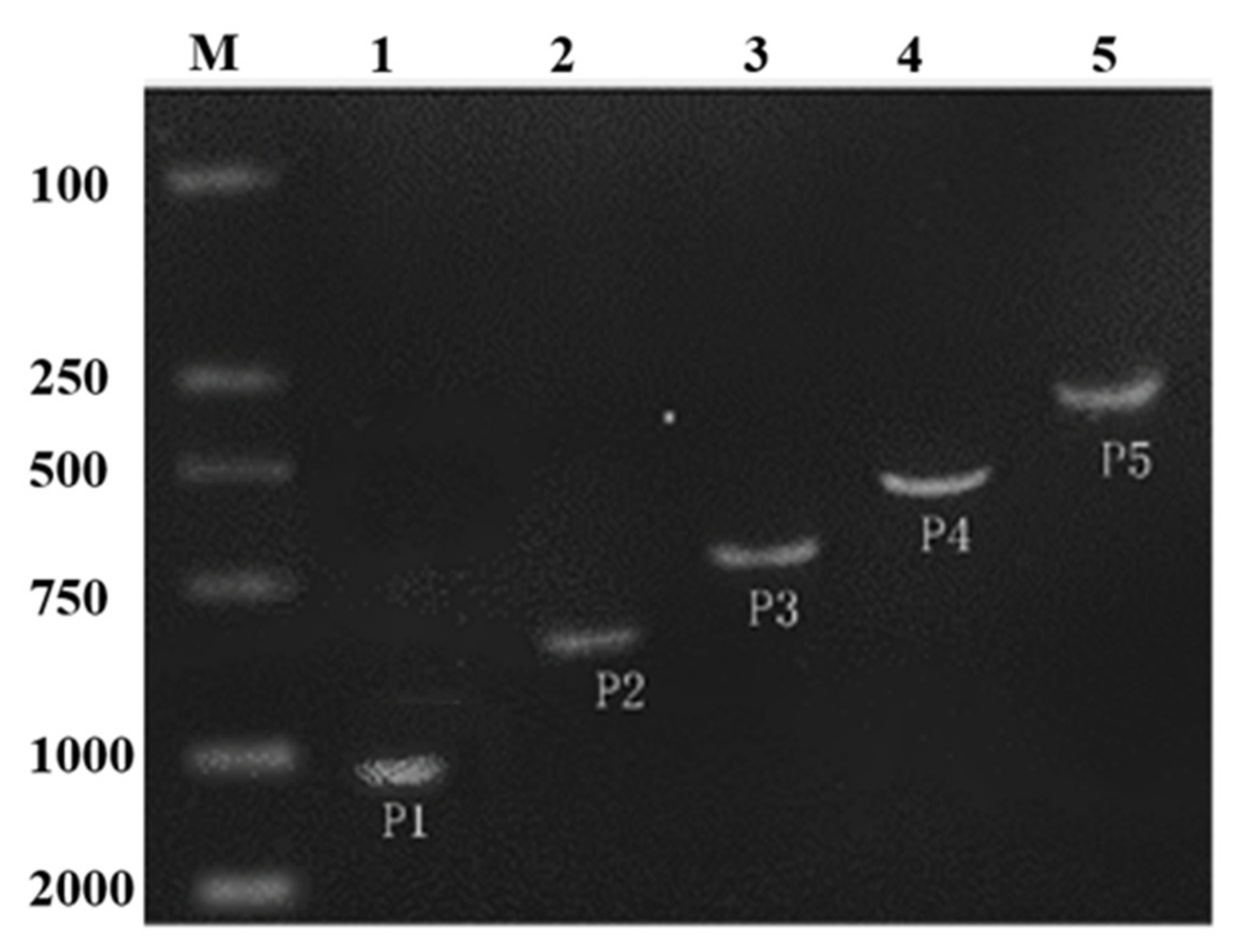 Ijms 19 00191 g002 Ijms 19 00191 g002