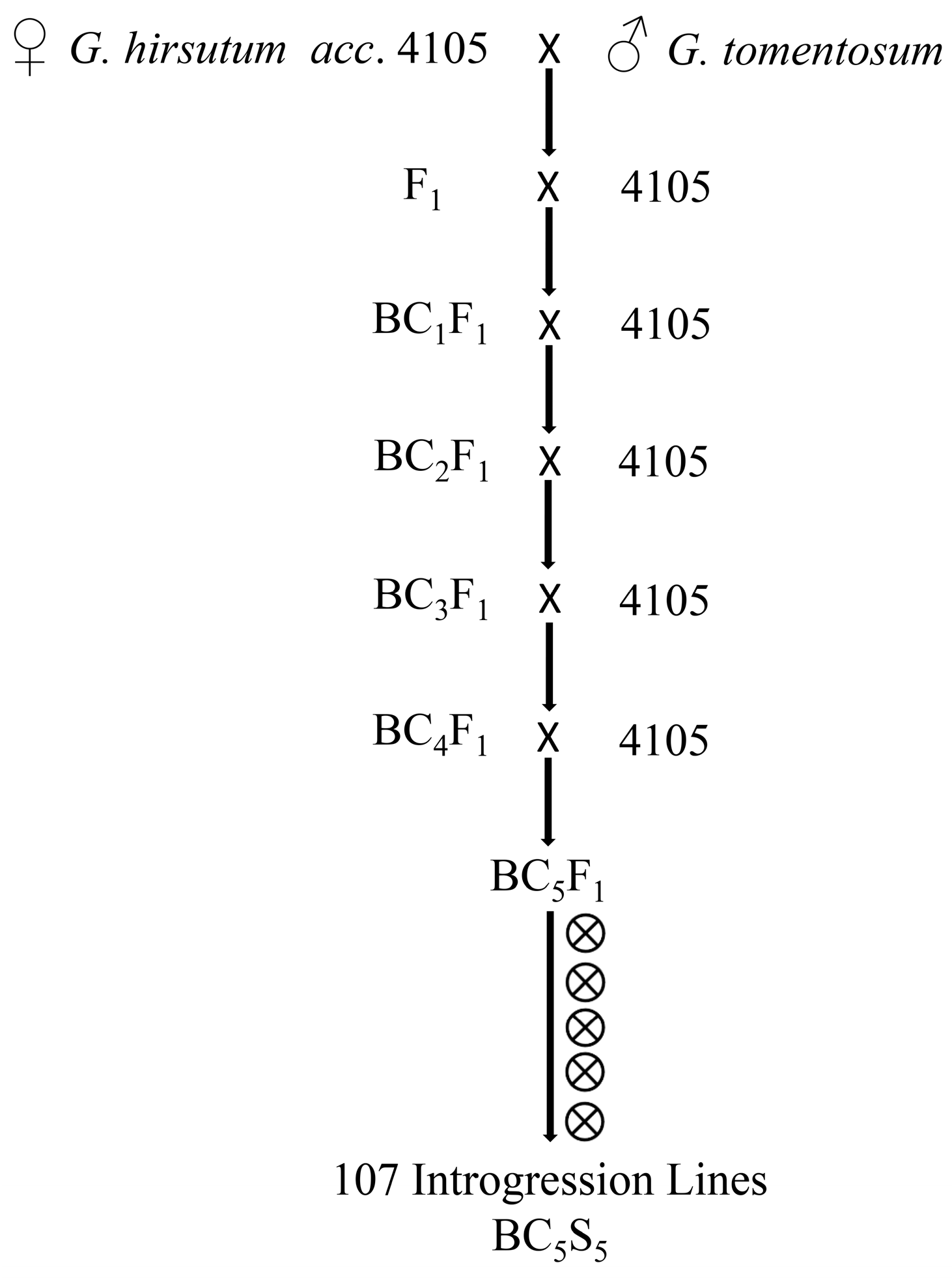 Ijms 19 00243 g001 Ijms 19 00243 g001