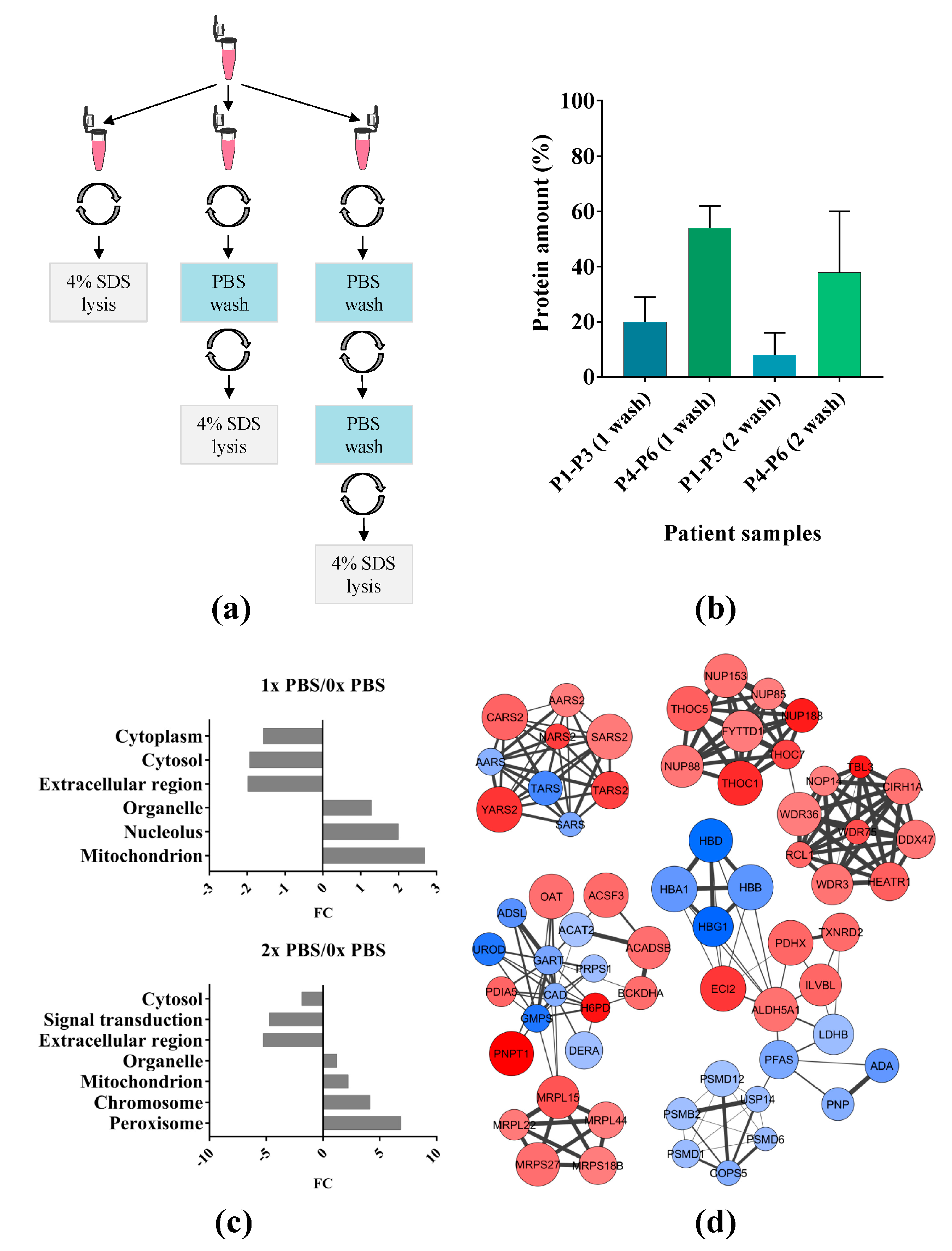 Ijms 19 00296 g001 Ijms 19 00296 g001