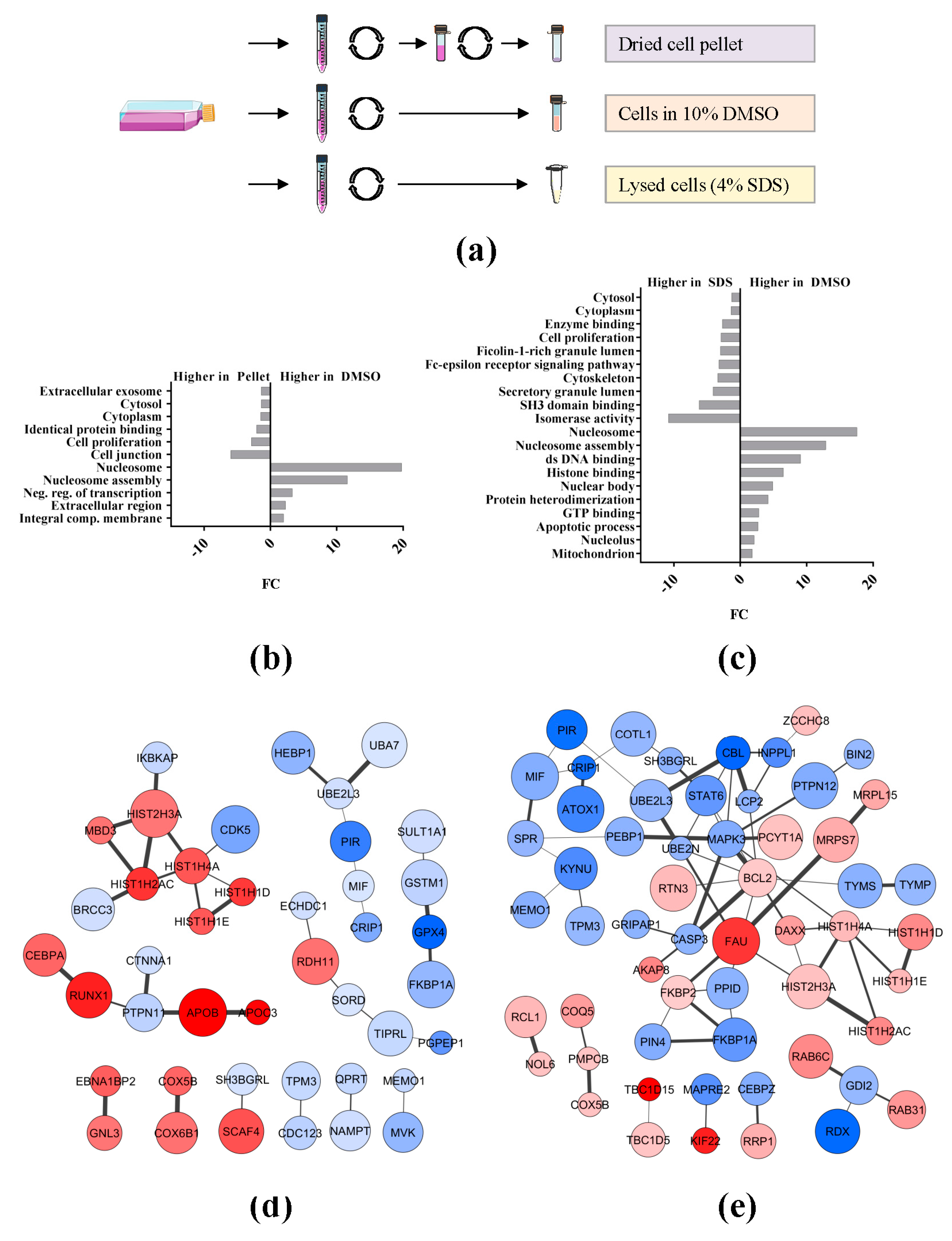 Ijms 19 00296 g002 Ijms 19 00296 g002