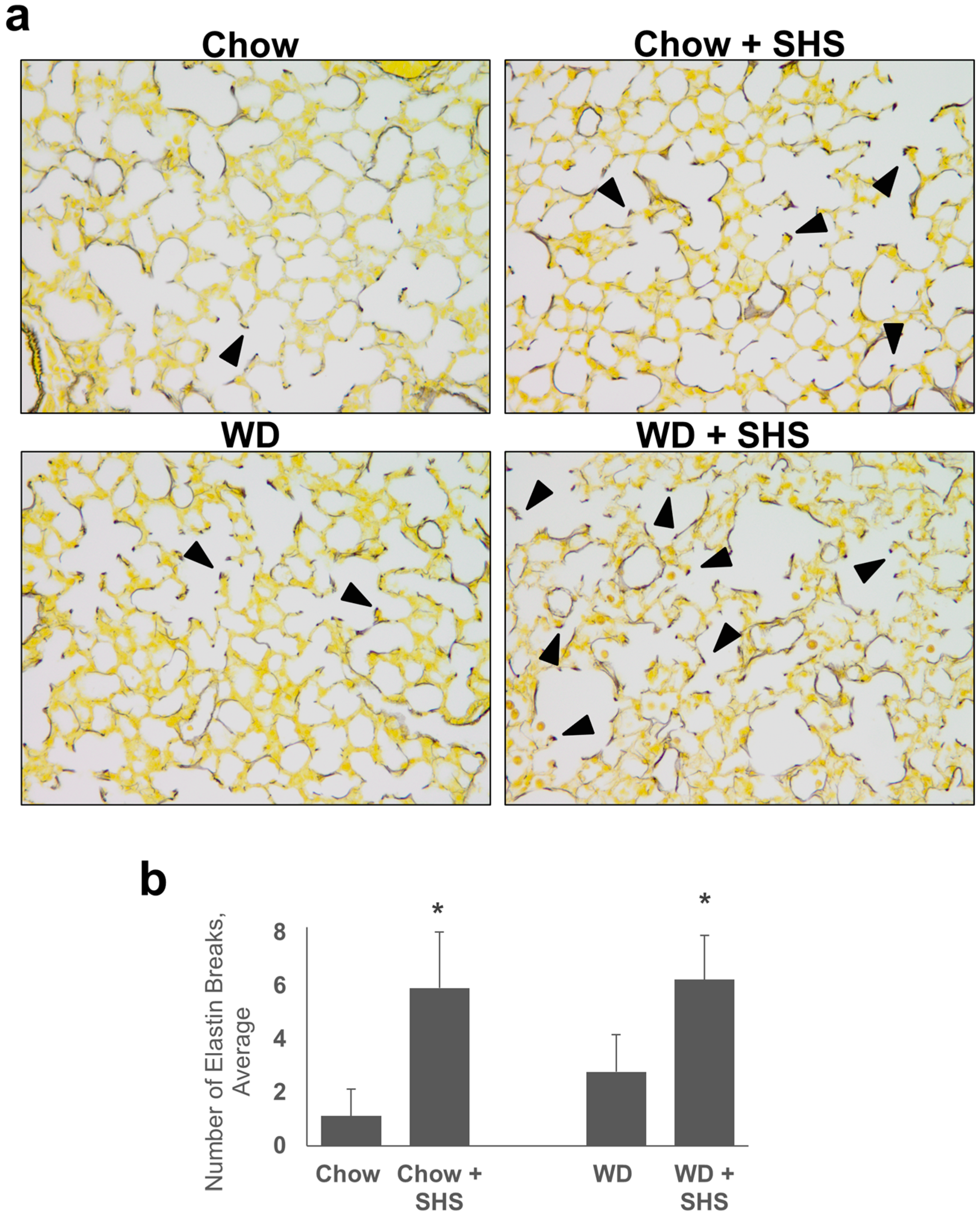 Ijms 19 00343 g001
