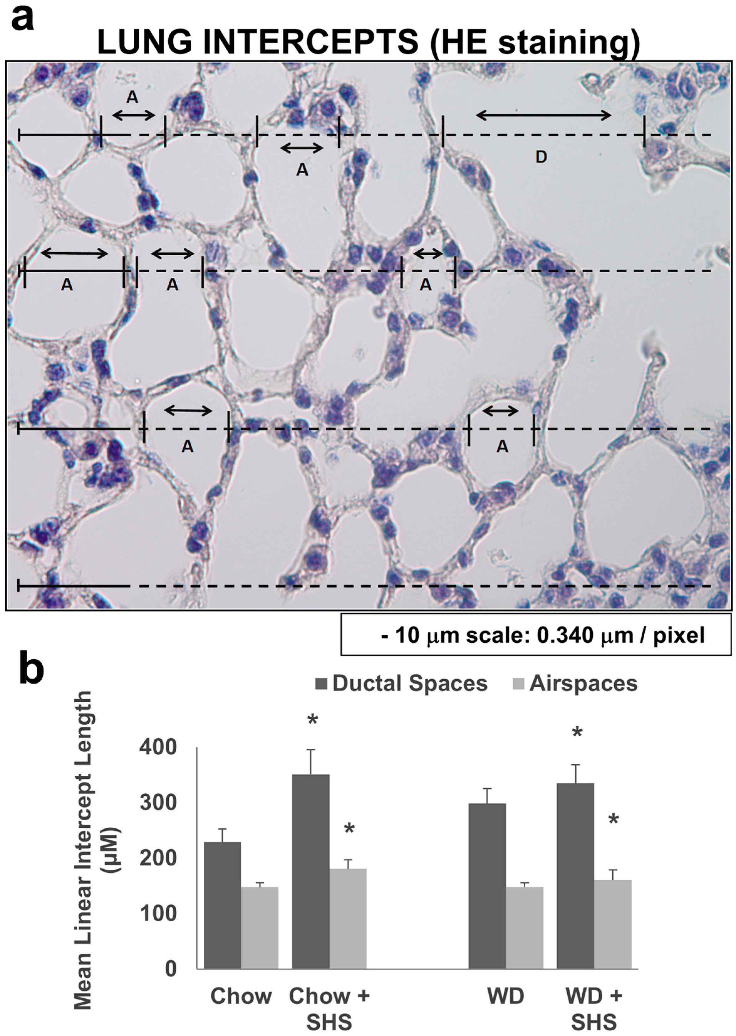 Ijms 19 00343 g002