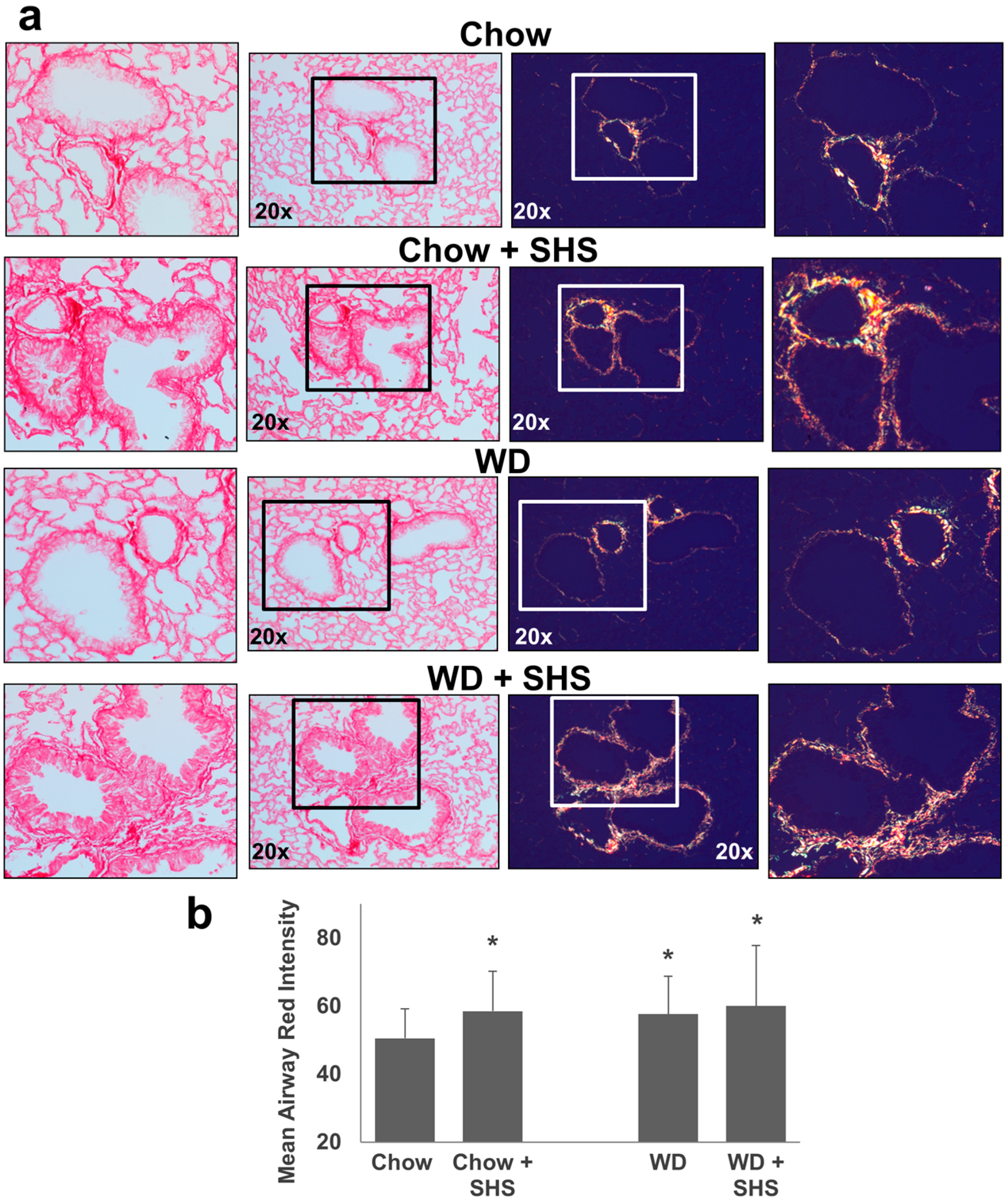 Ijms 19 00343 g003