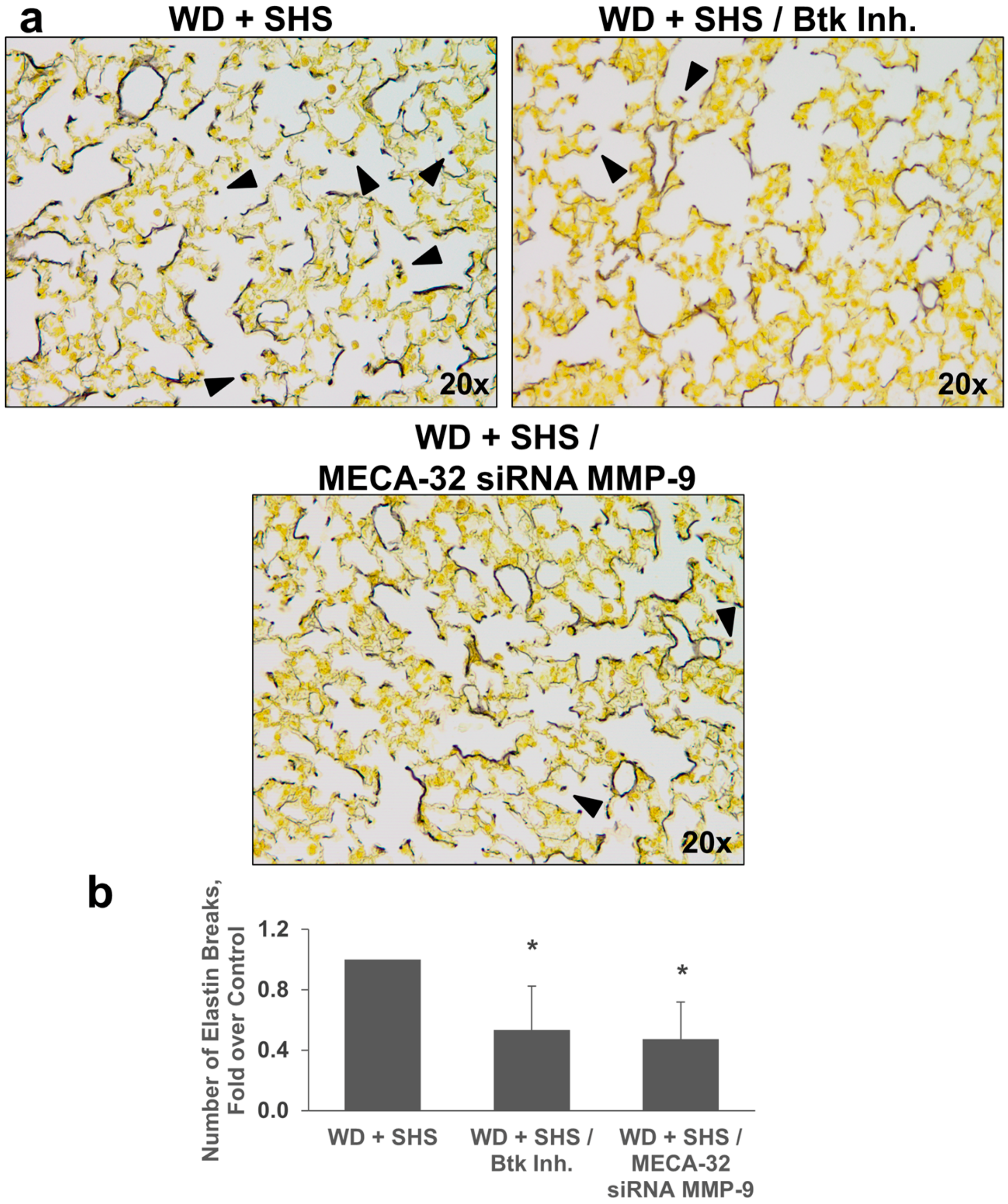 Ijms 19 00343 g004
