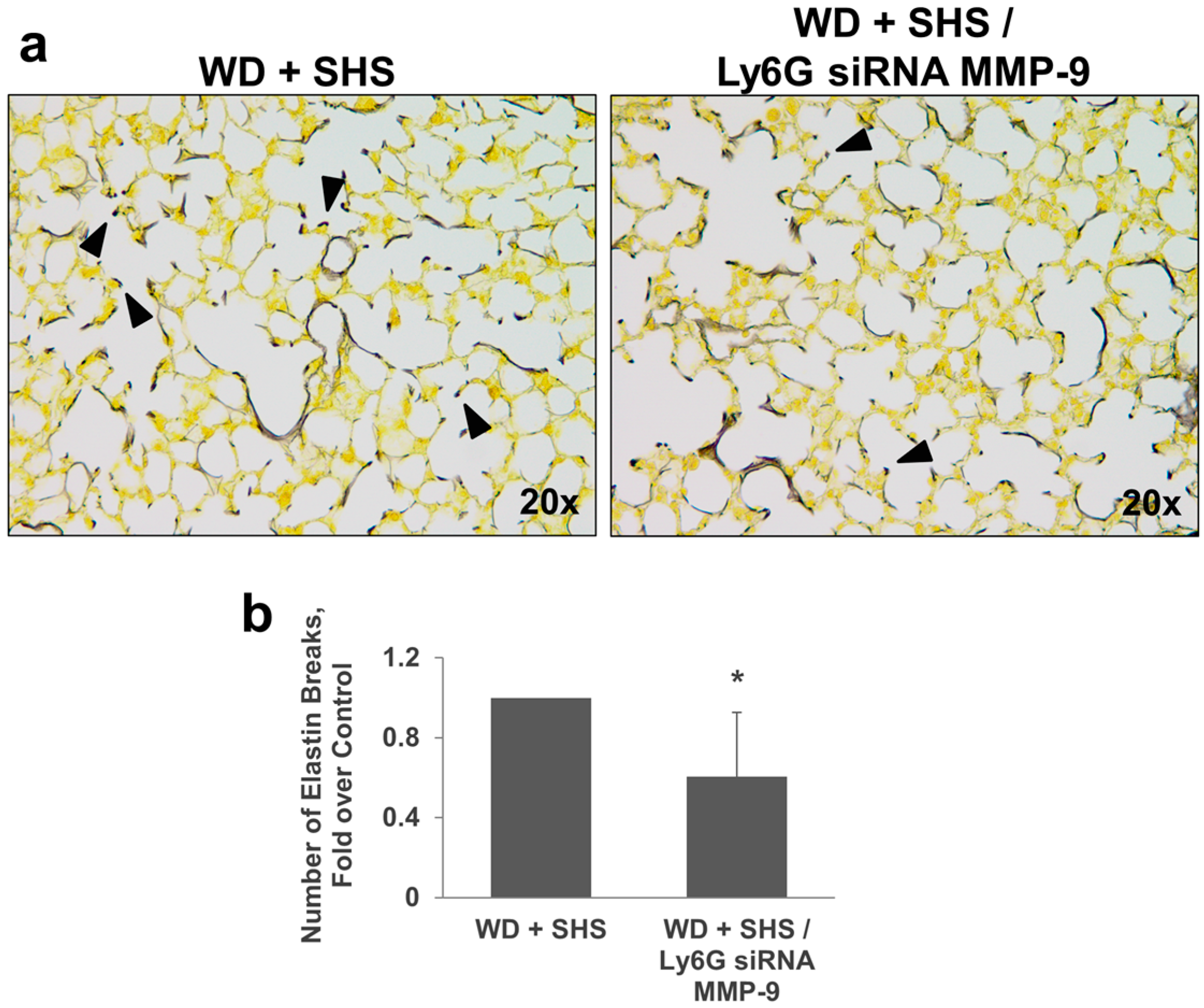 Ijms 19 00343 g005