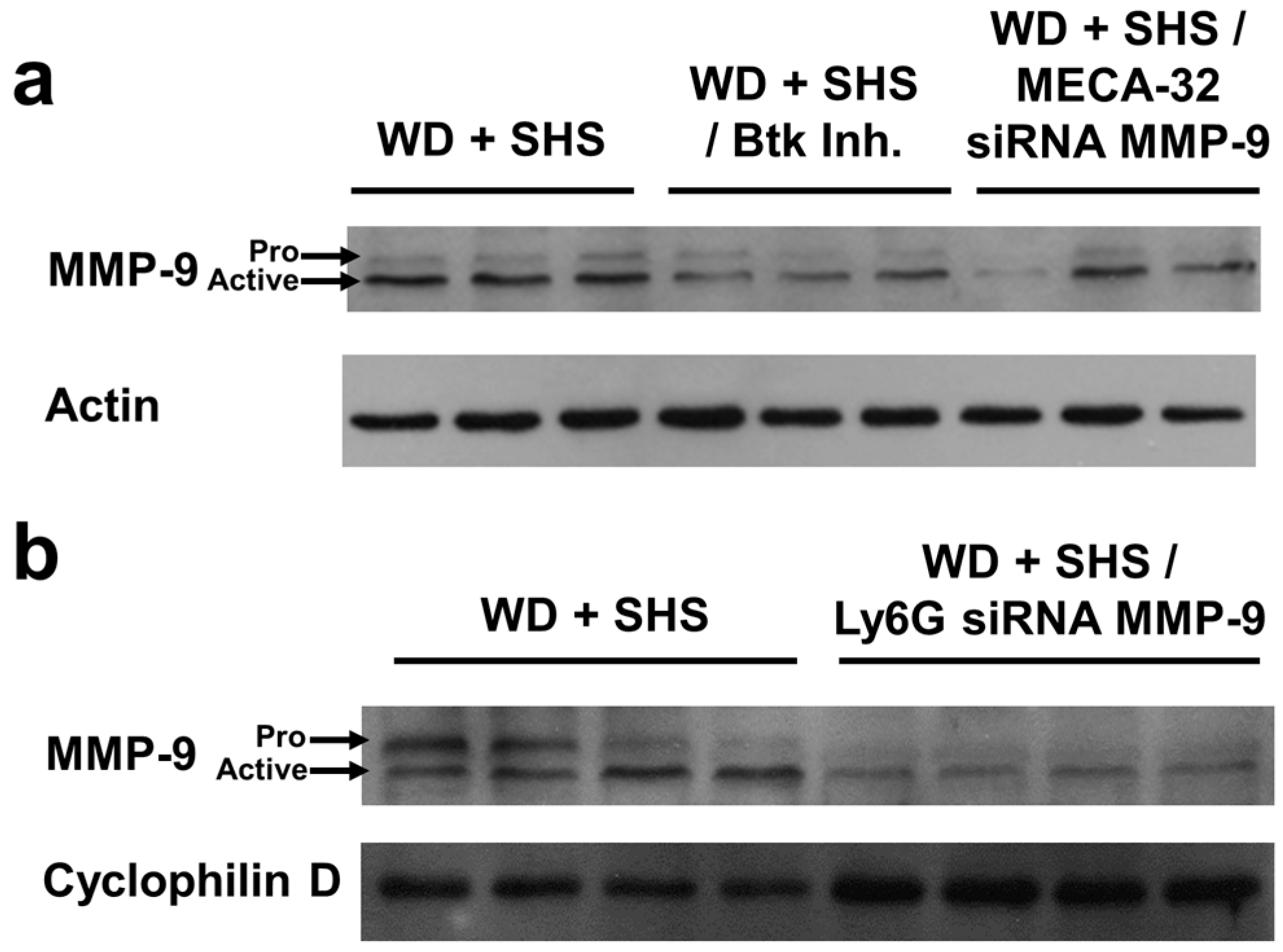 Ijms 19 00343 g009