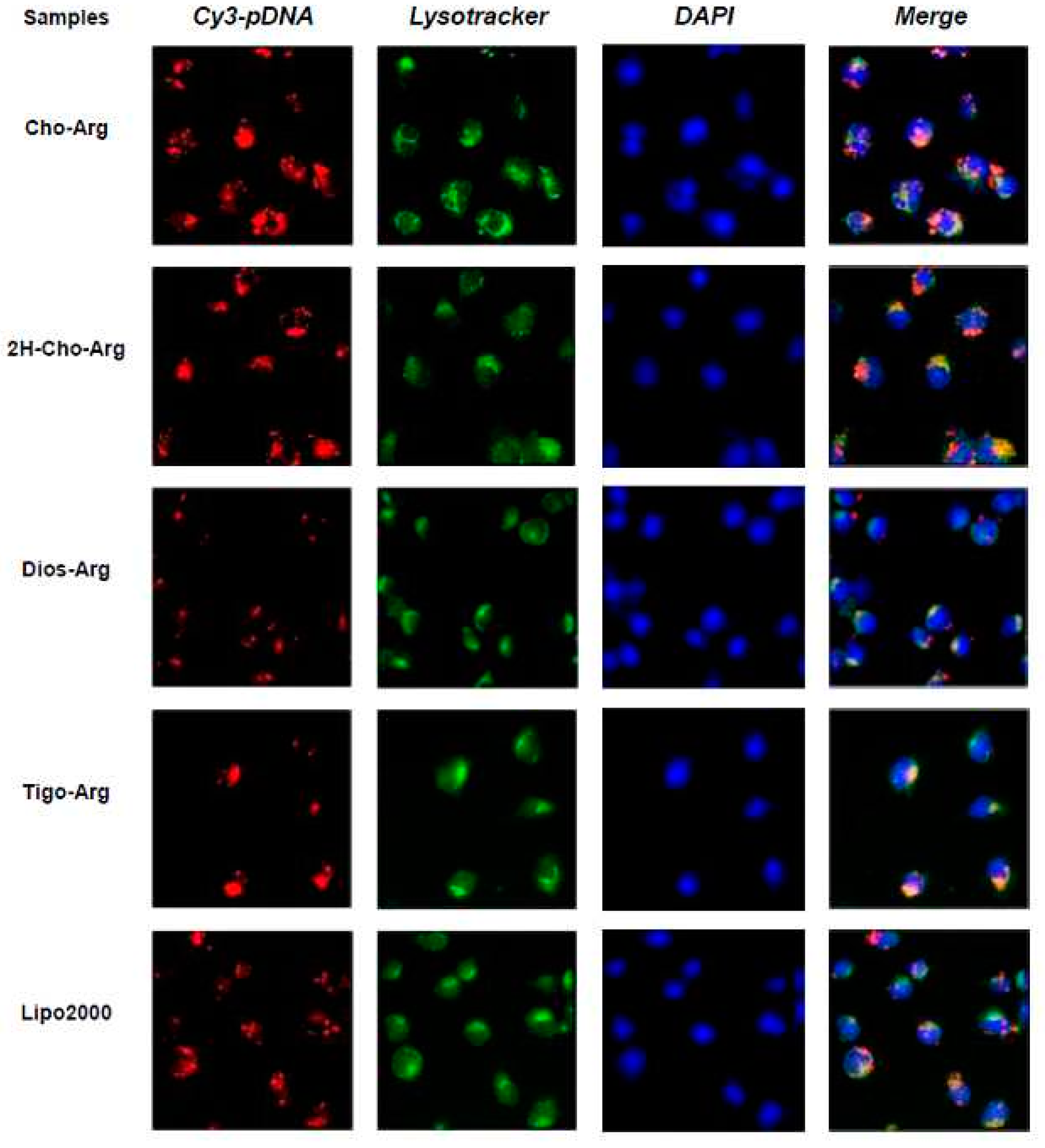 Ijms 19 00369 g008 Ijms 19 00369 g008