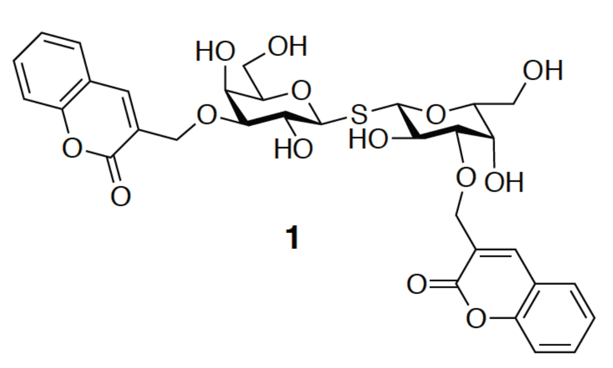 Ijms 19 00392 g006 Ijms 19 00392 g006