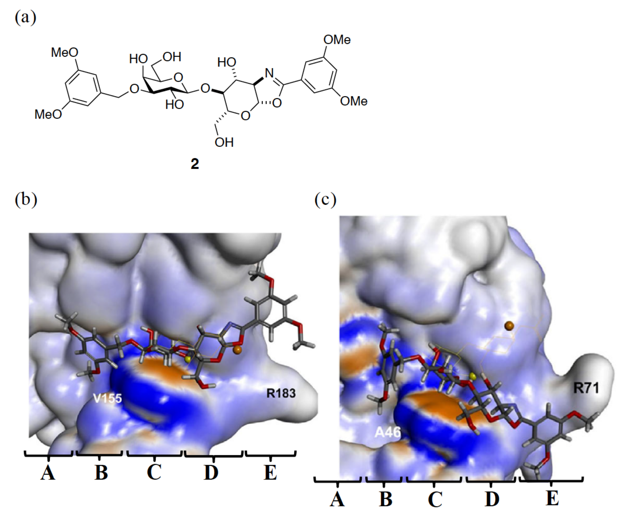 Ijms 19 00392 g008 Ijms 19 00392 g008