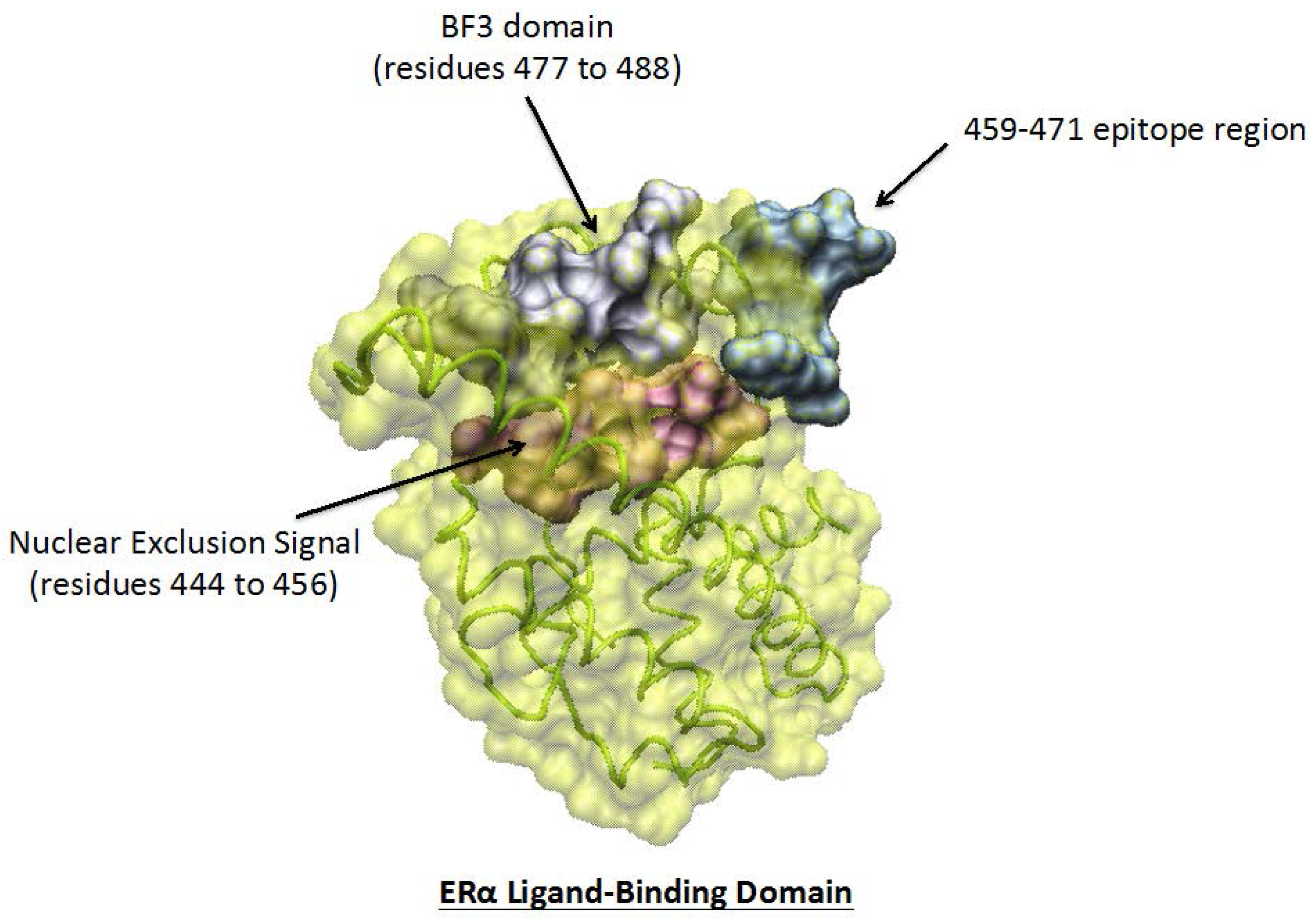 Ijms 19 00411 g004 Ijms 19 00411 g004