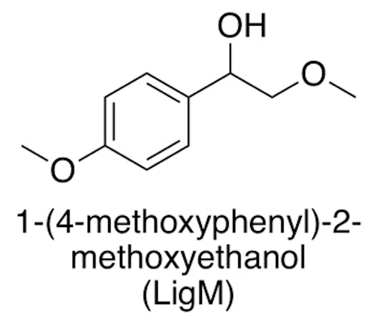 Ijms 19 00428 g003