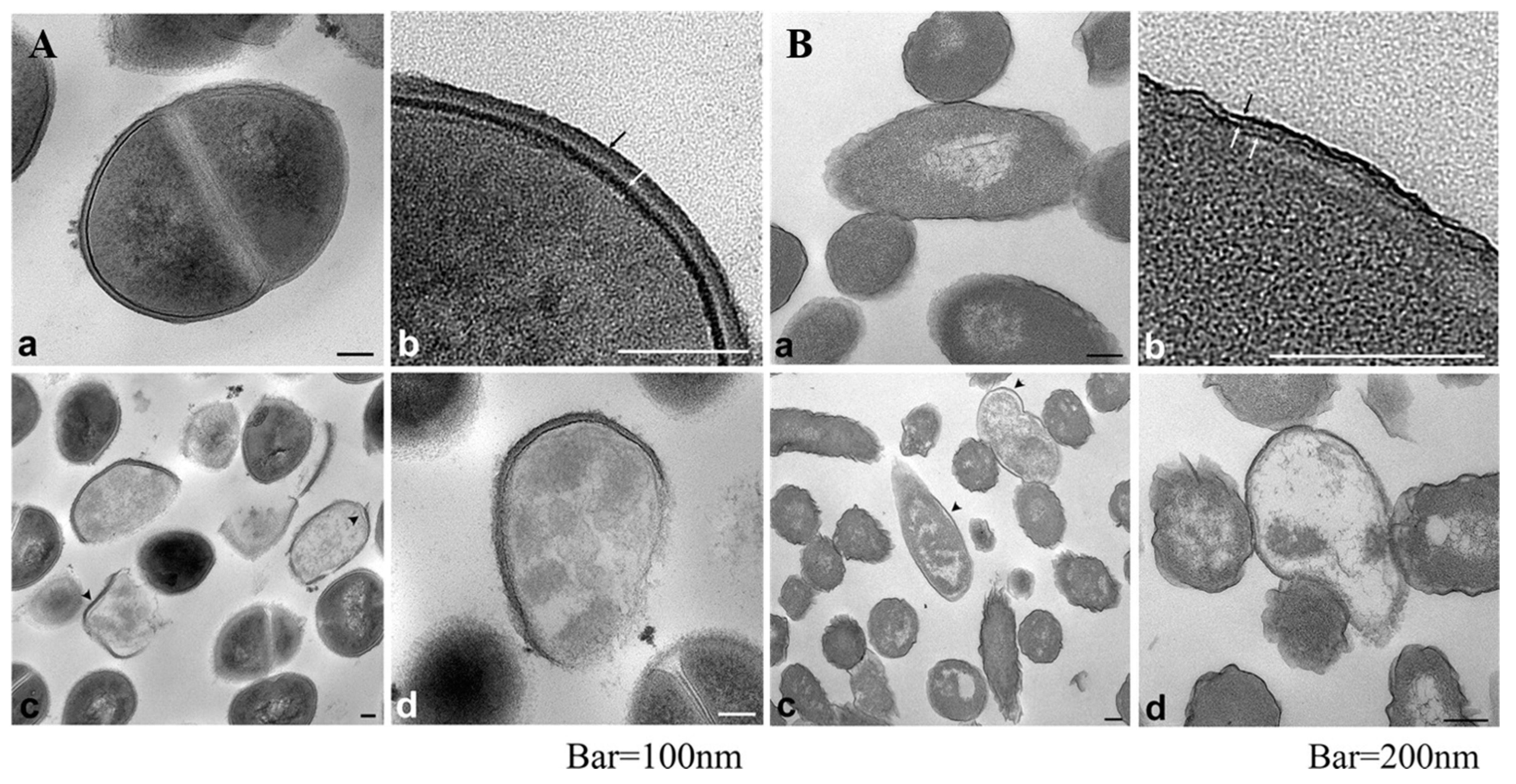 Ijms 19 00444 g001